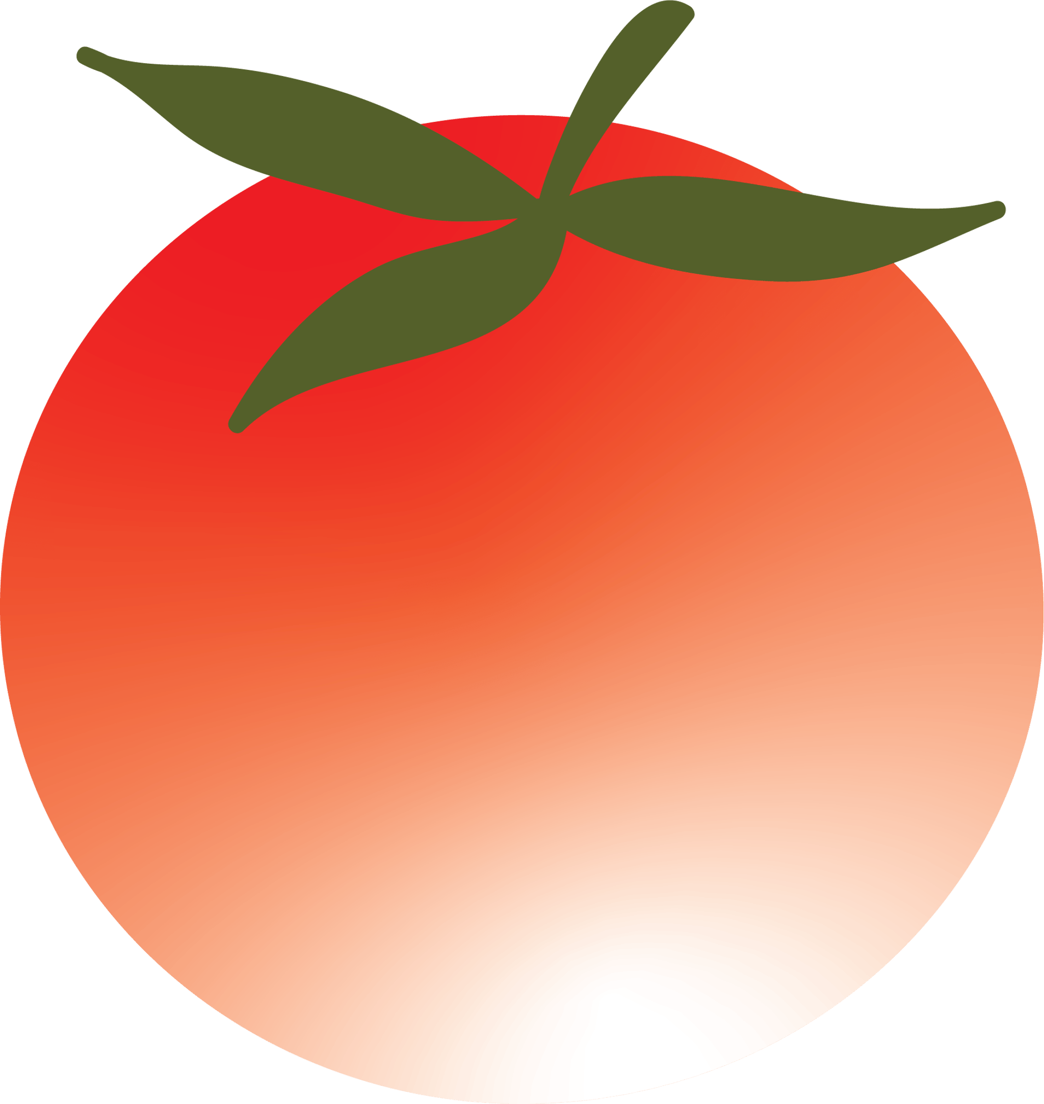 Tomato Style 2