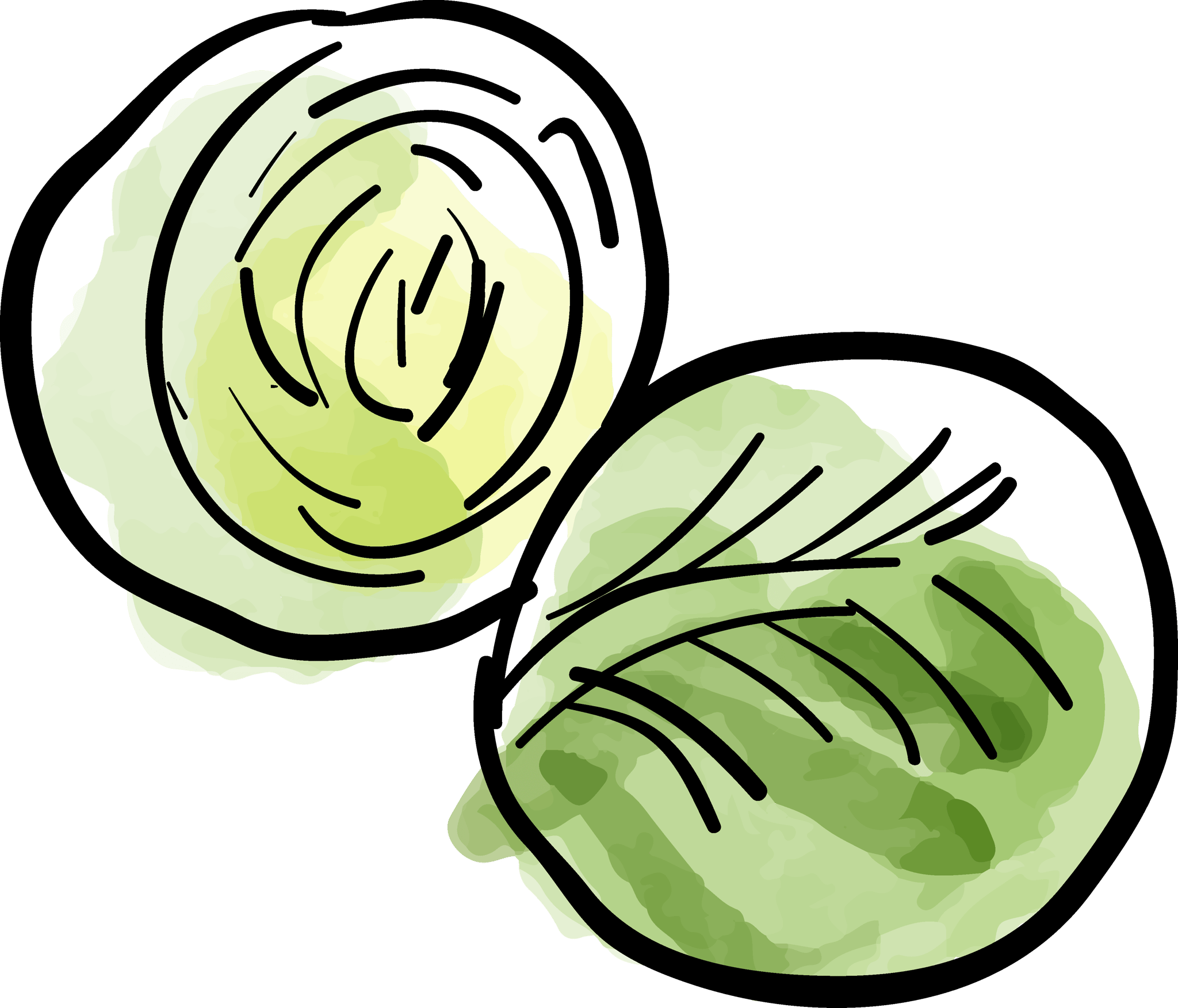 Brussel Sprouts