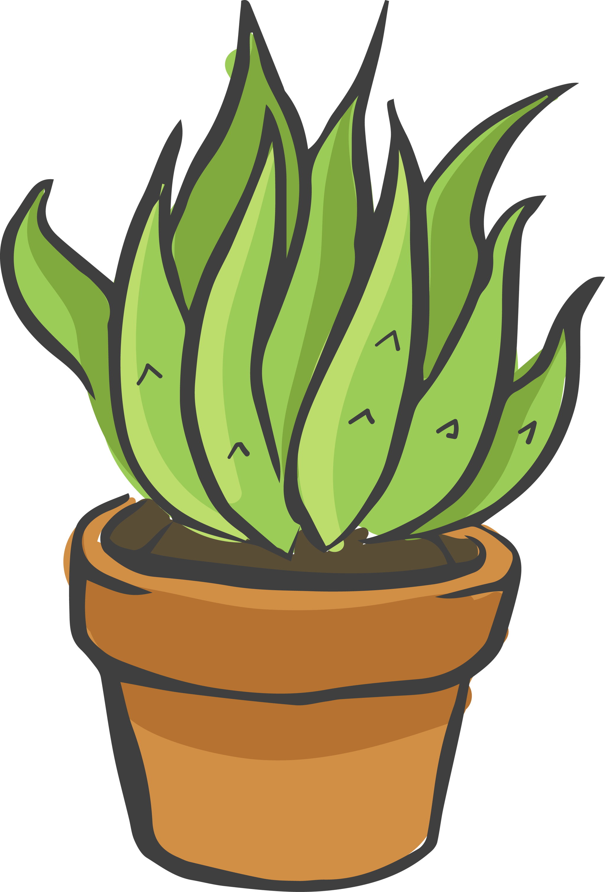 Cacti 2