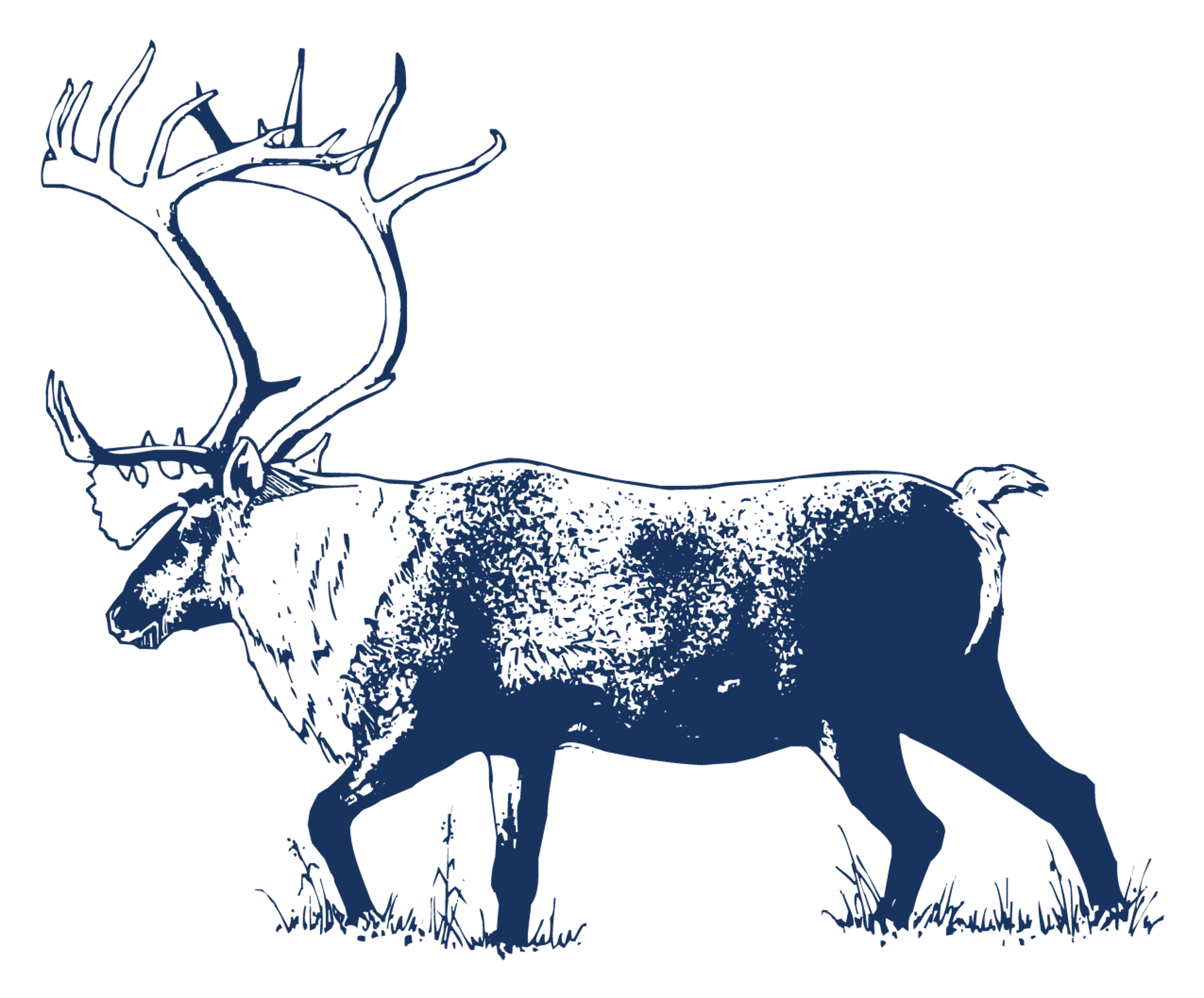 MP_Moose