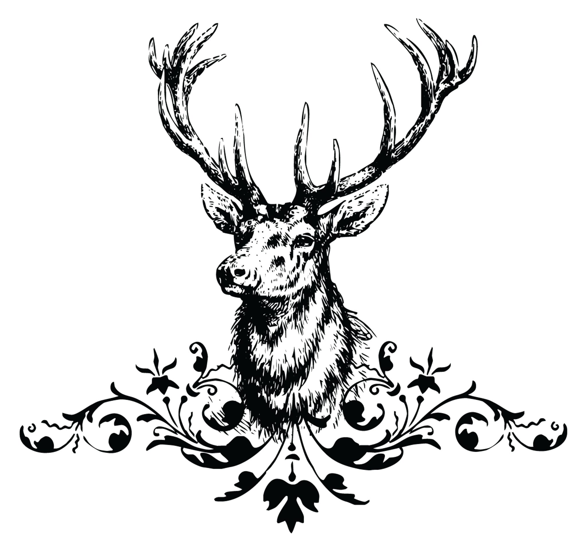 Deer Head Antlers