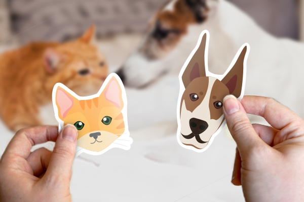 Celebrate your furry companion