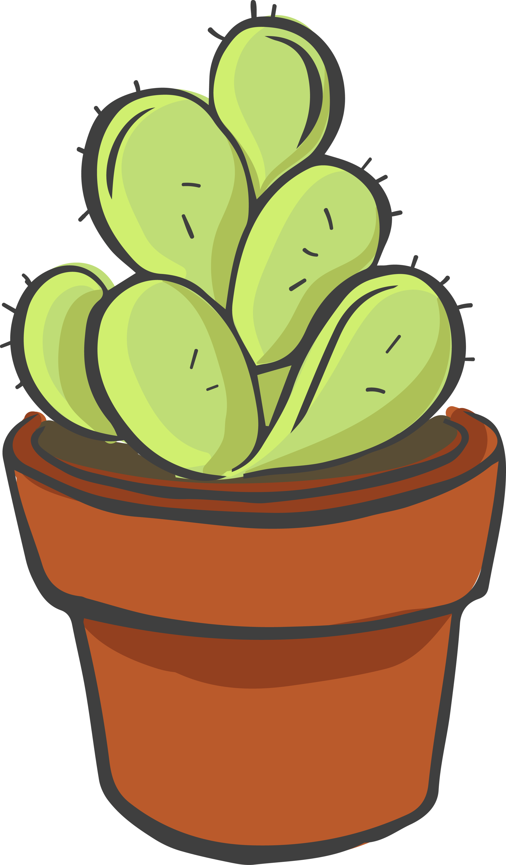 Cacti 1