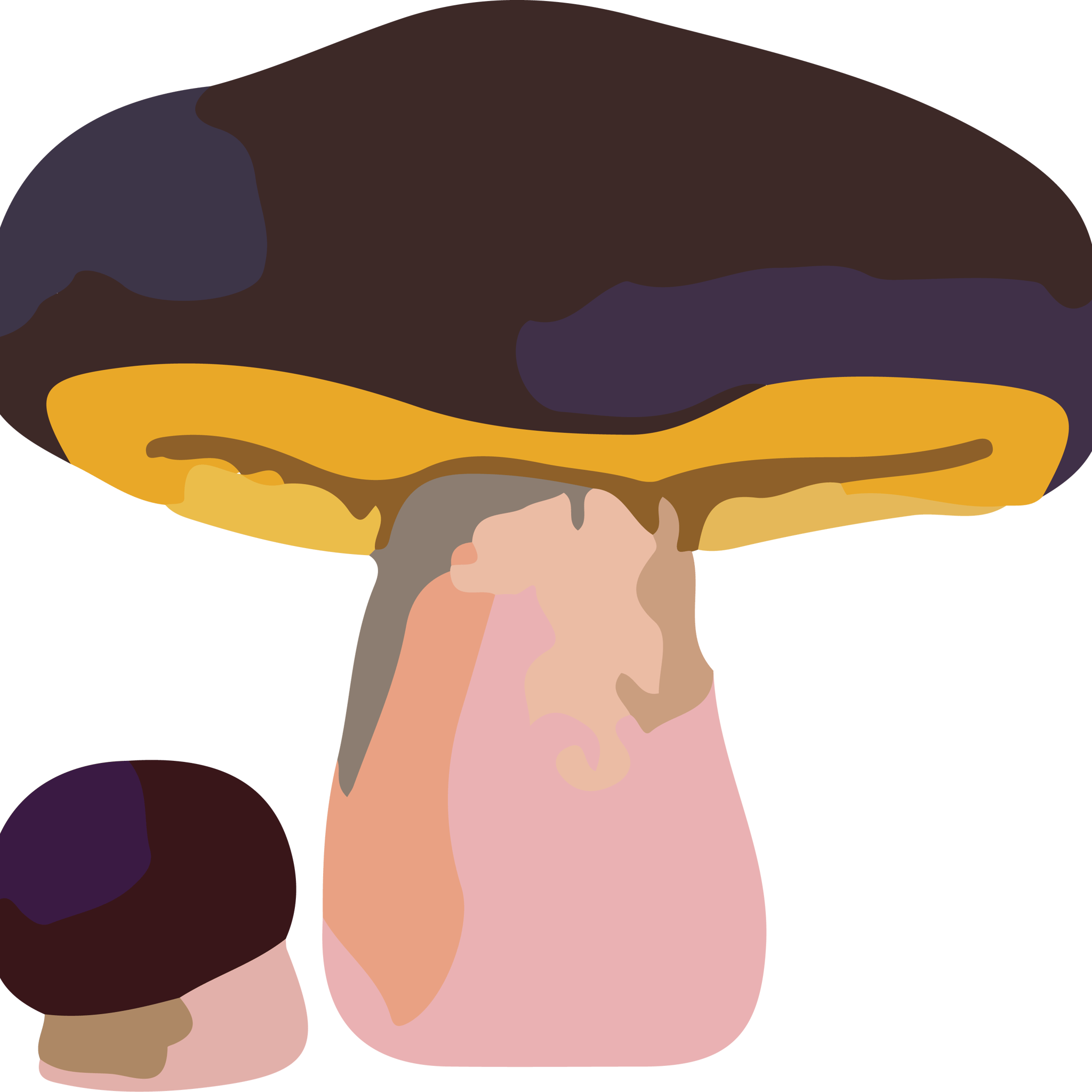 Russula Lilac