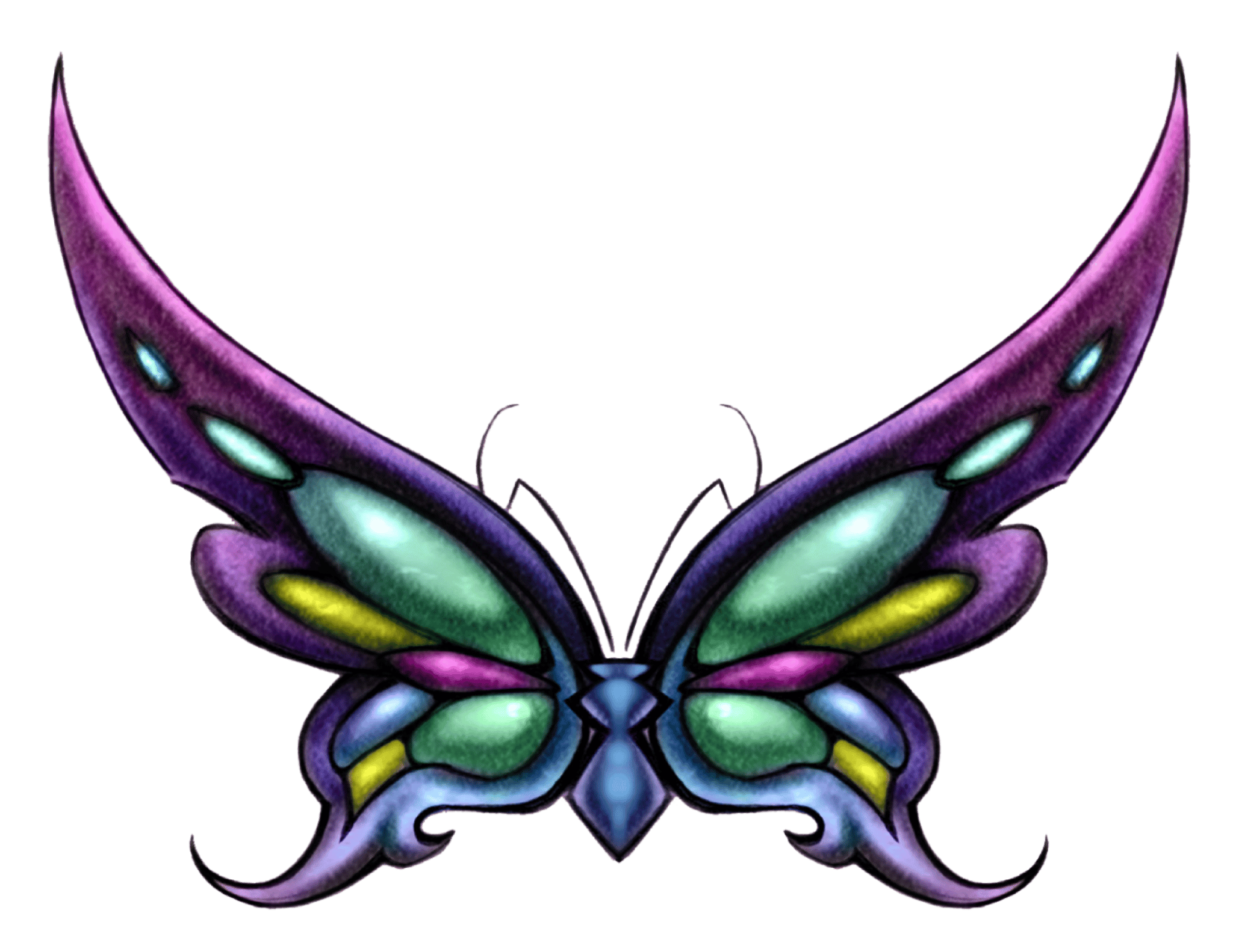 Blue Body Butterfly