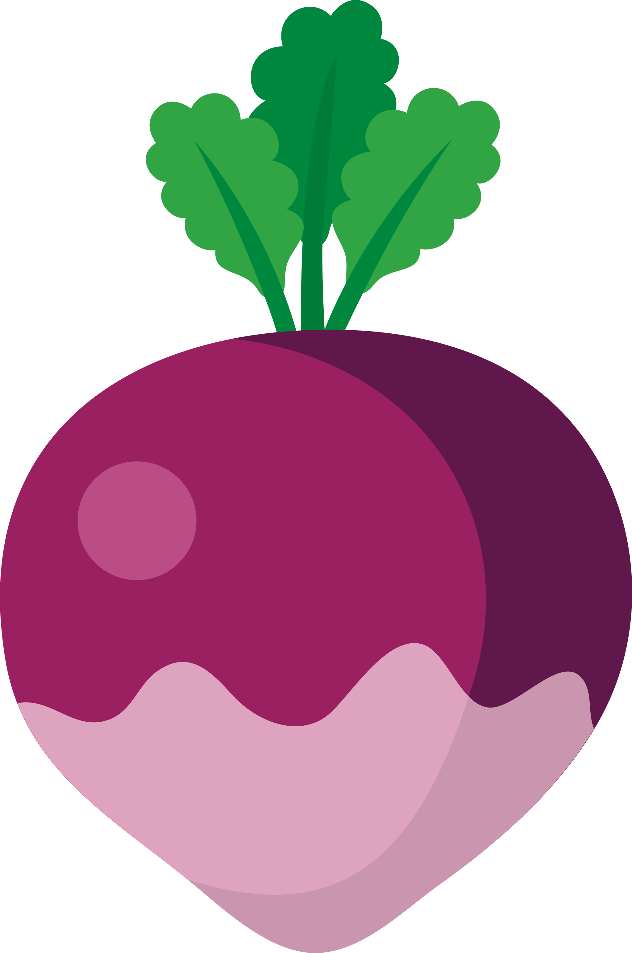 Turnips 