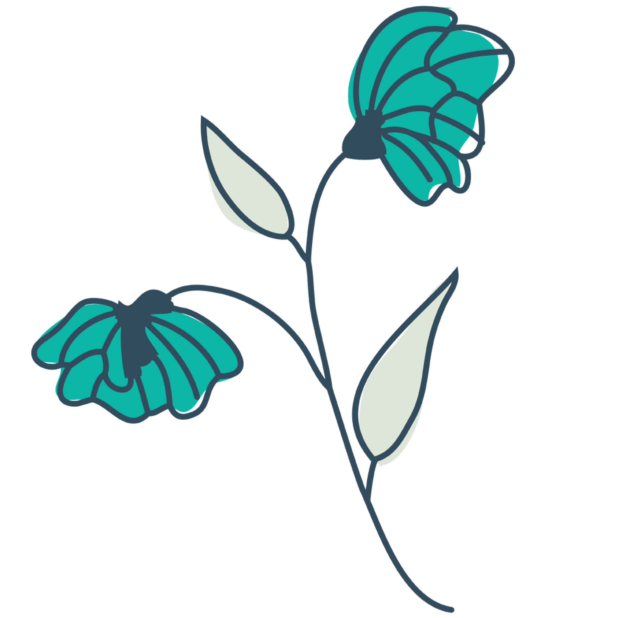 Double Drop Flower