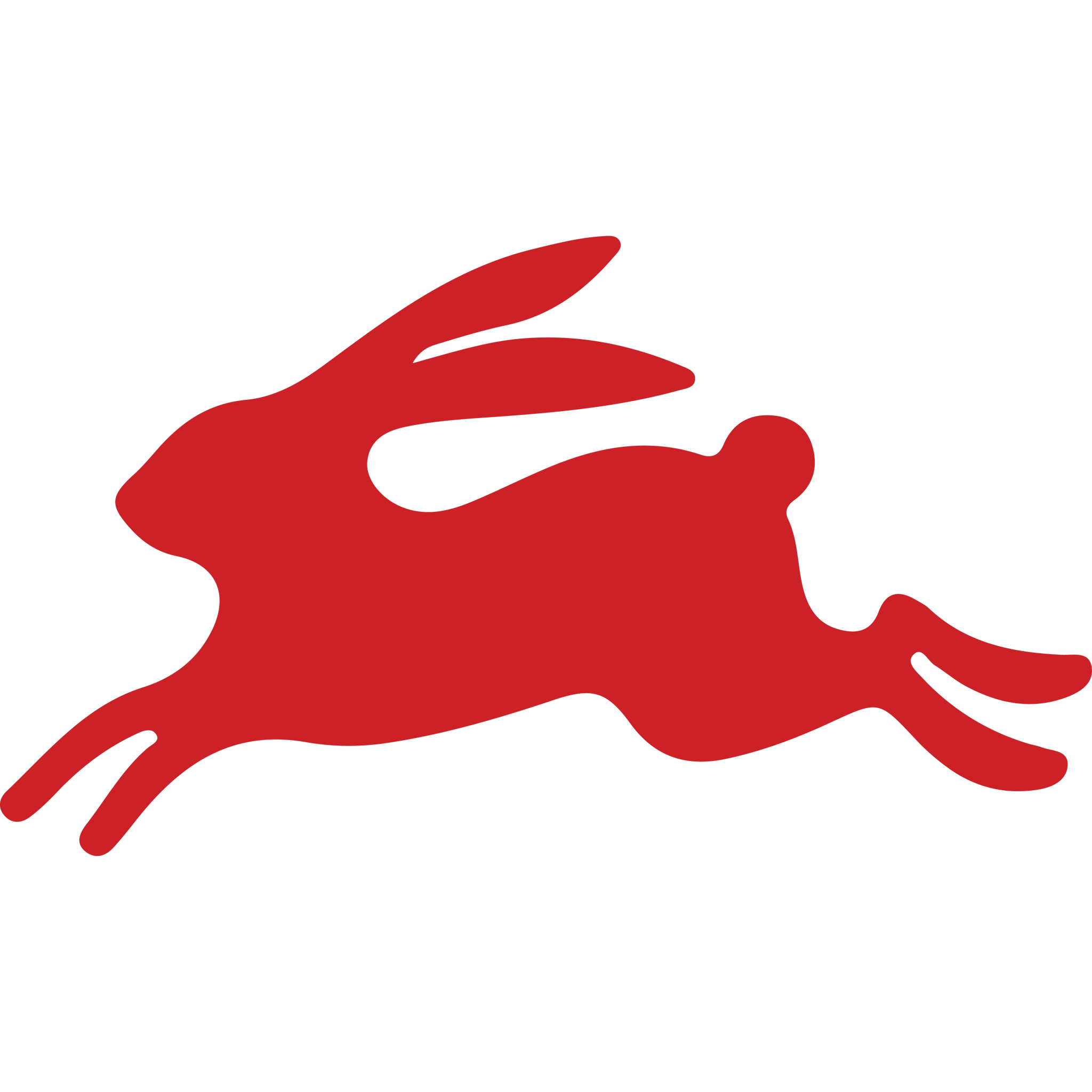 Rabbit Running
