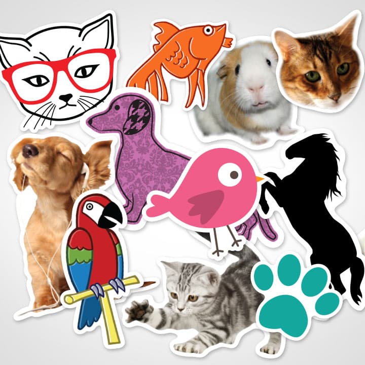 Pet Stickers