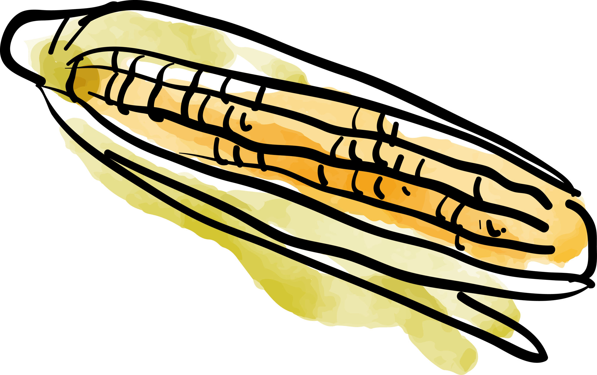 Corn