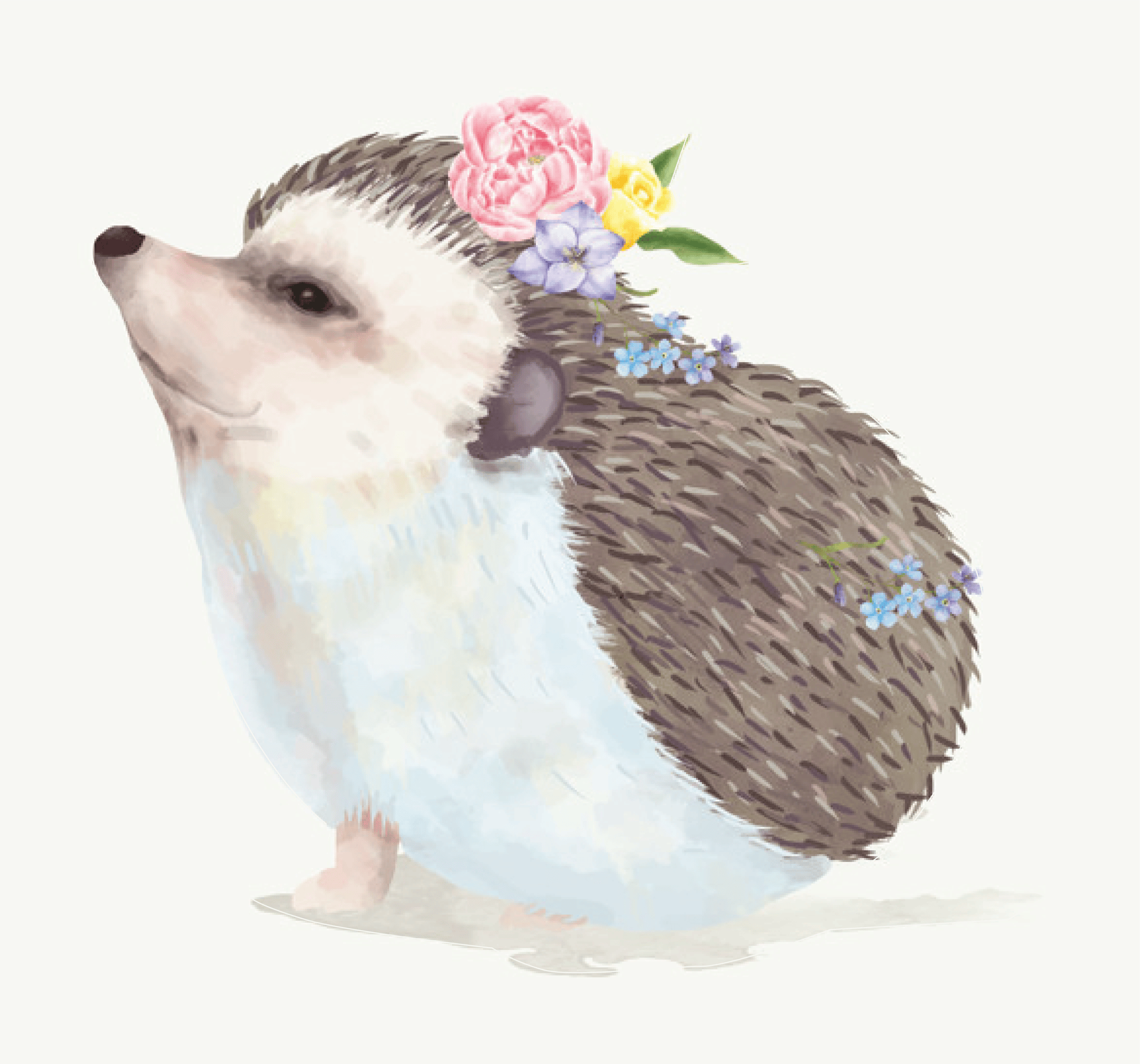 Hedgehog