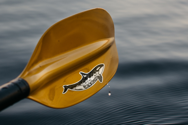 Sticker of Orca_ Rowan the Retriever