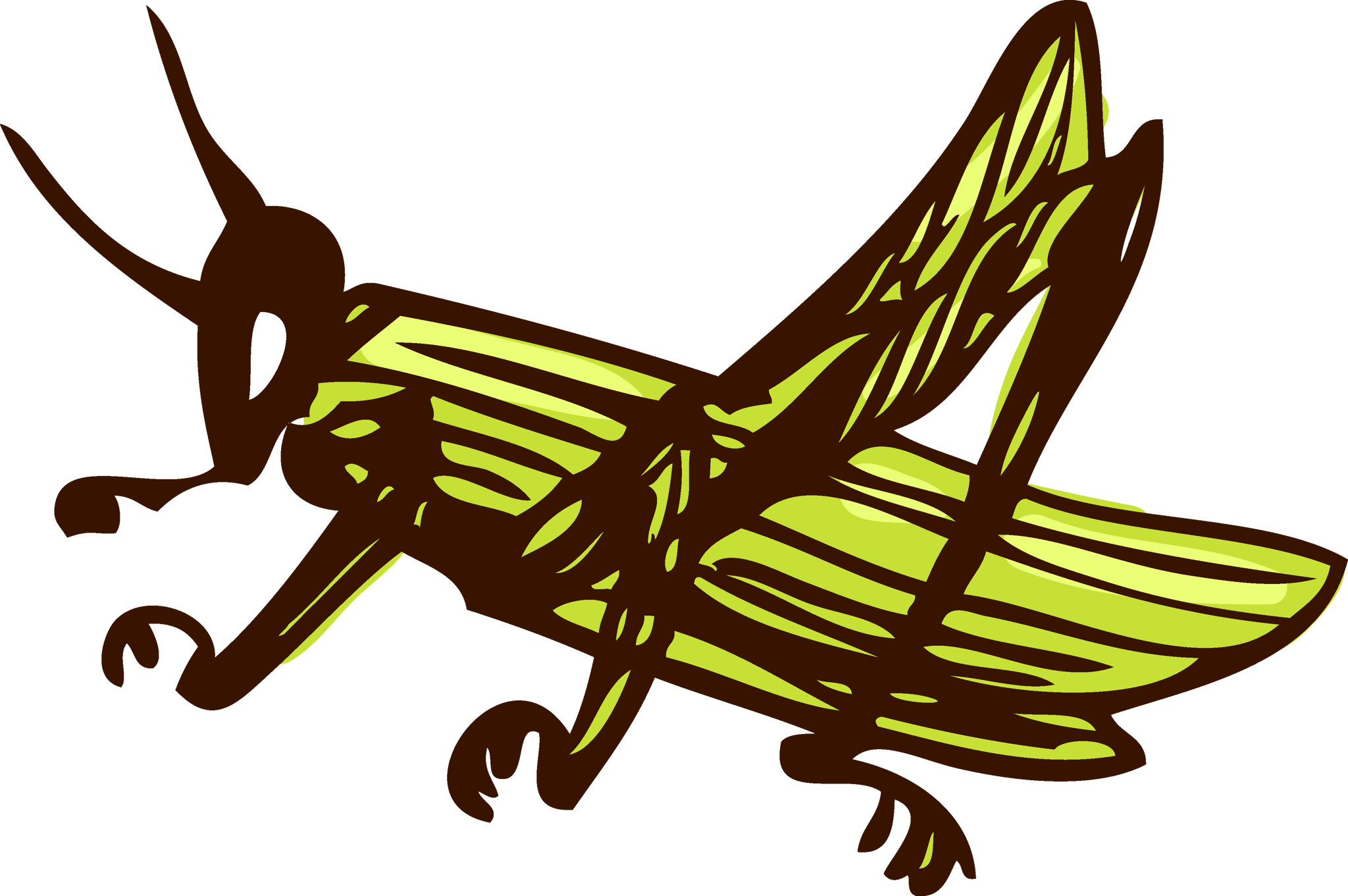 Grasshopper