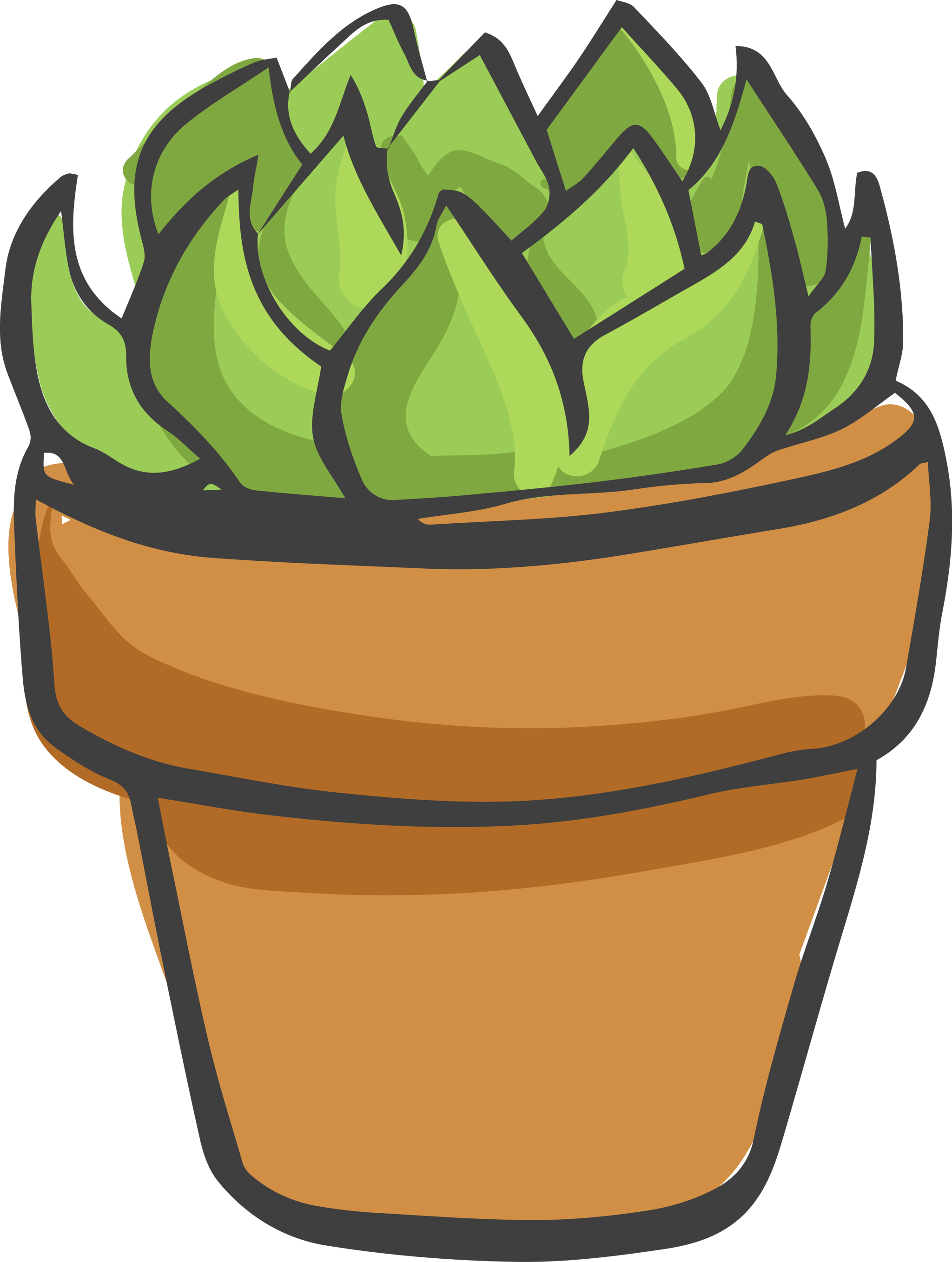 Cacti 4