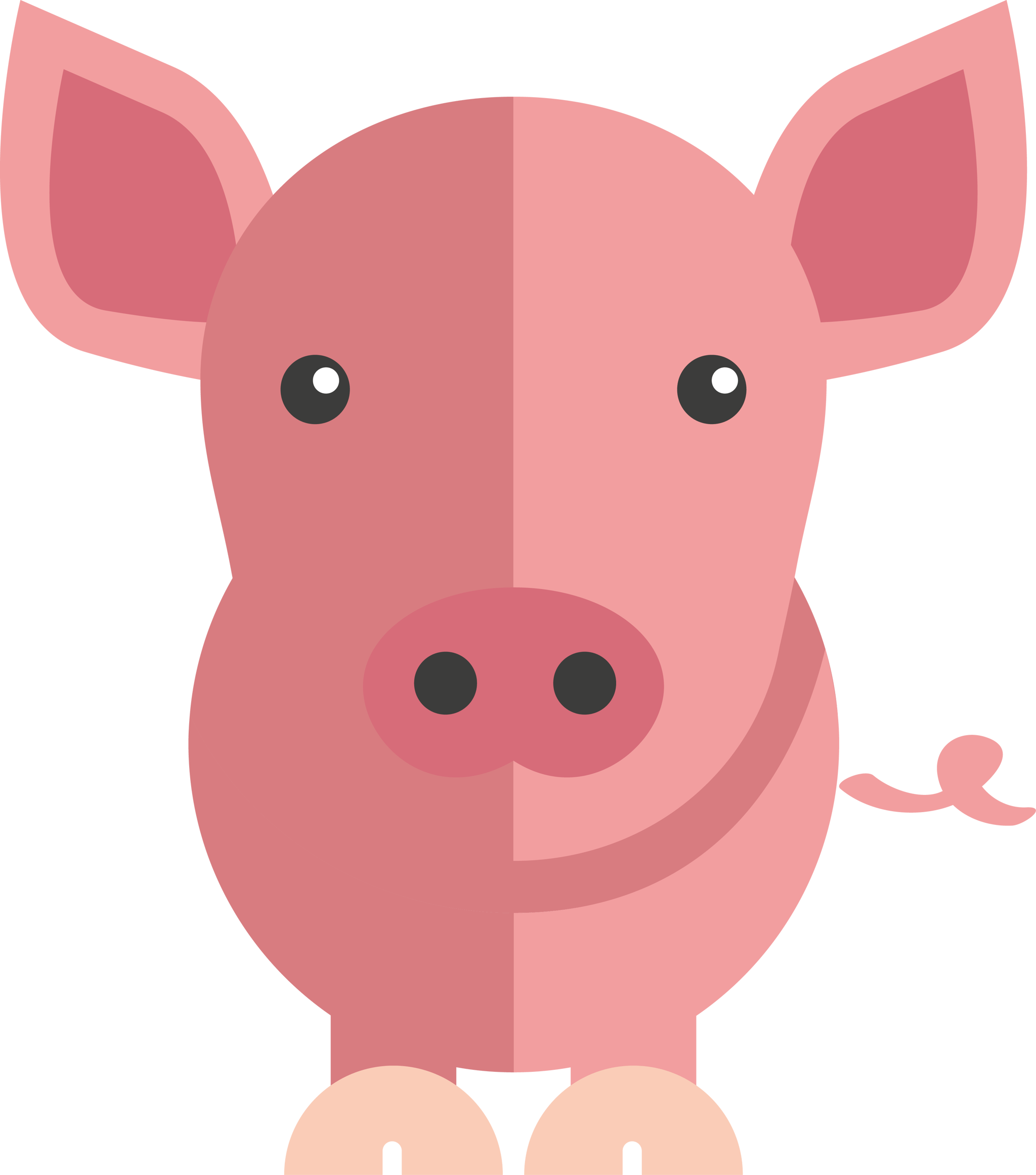 Pig