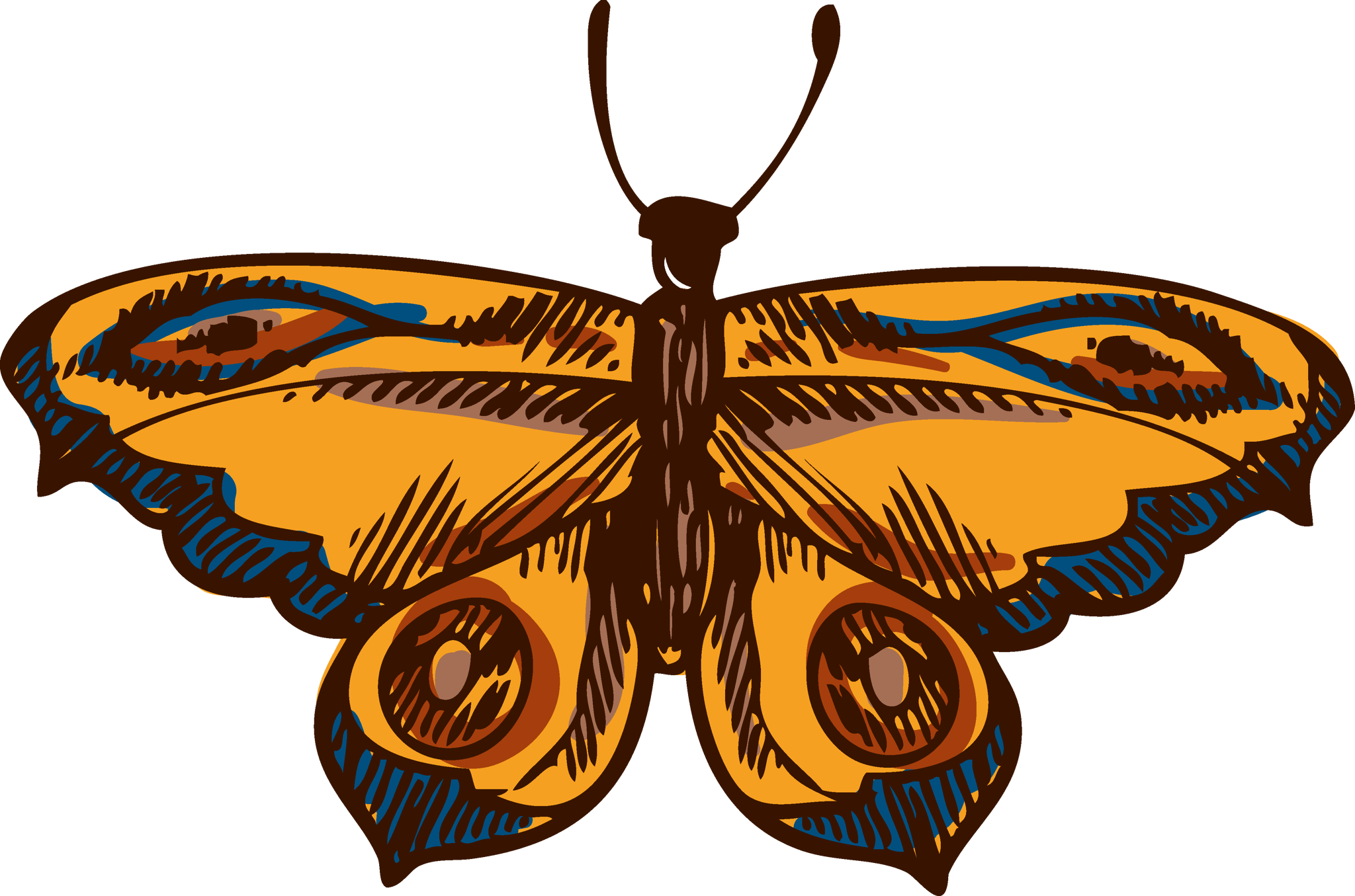 Sketched Butterfly