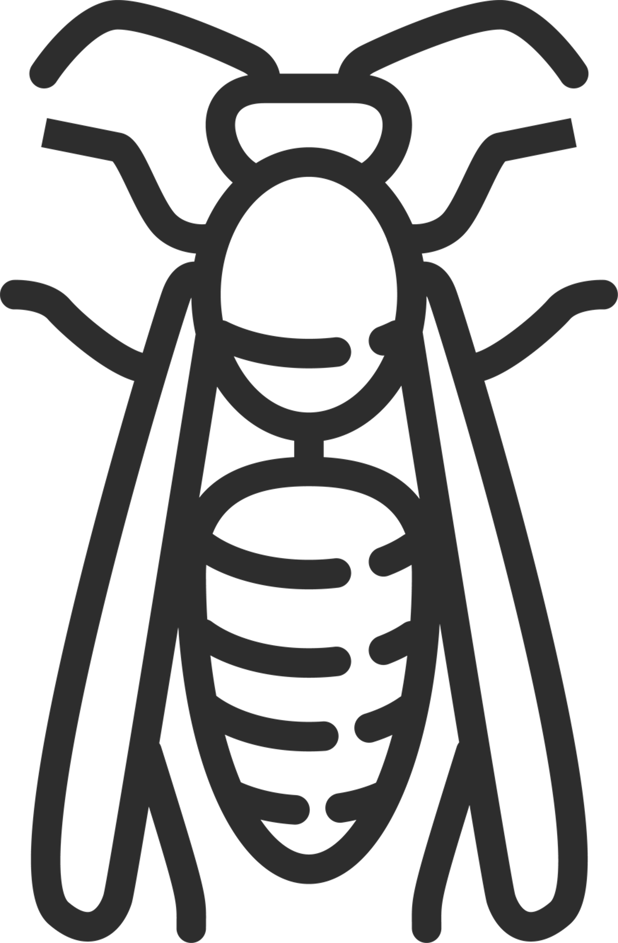 Cockroach Outline