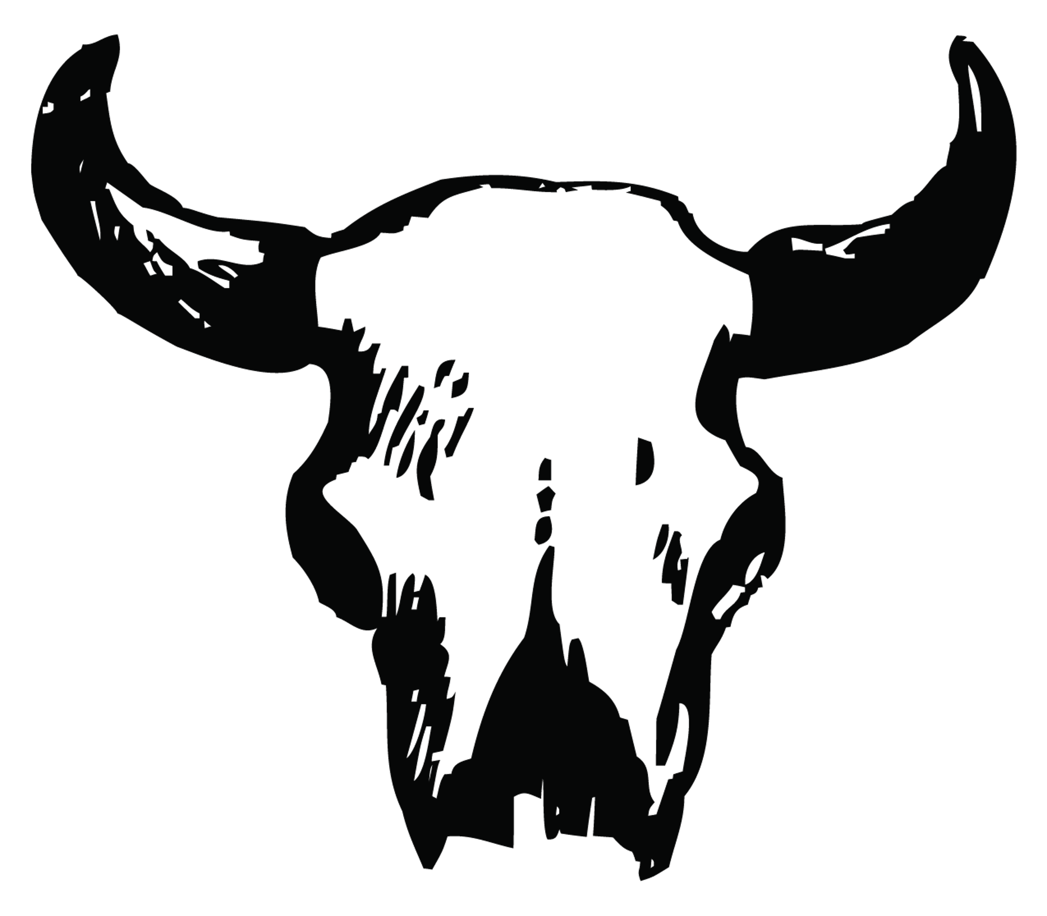 Buffalo Skull