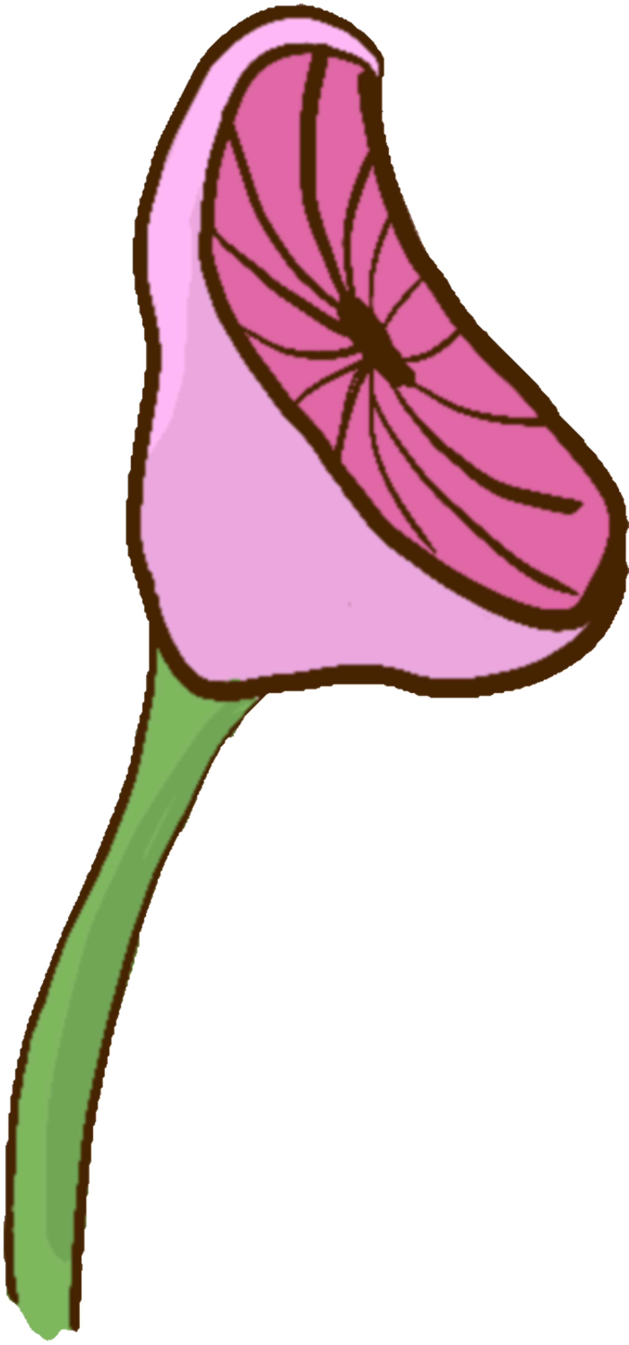 Pinkish Mushroom