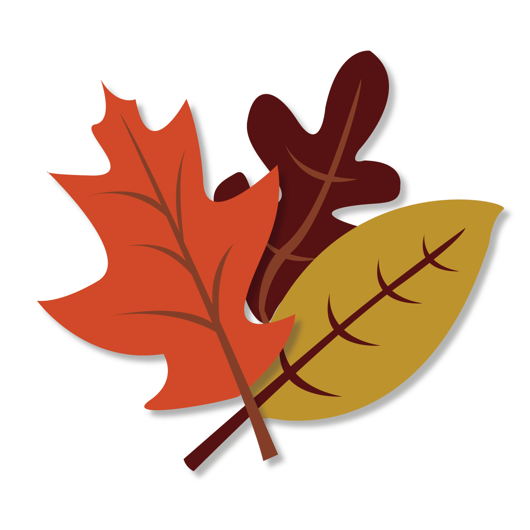 Fall Leaves