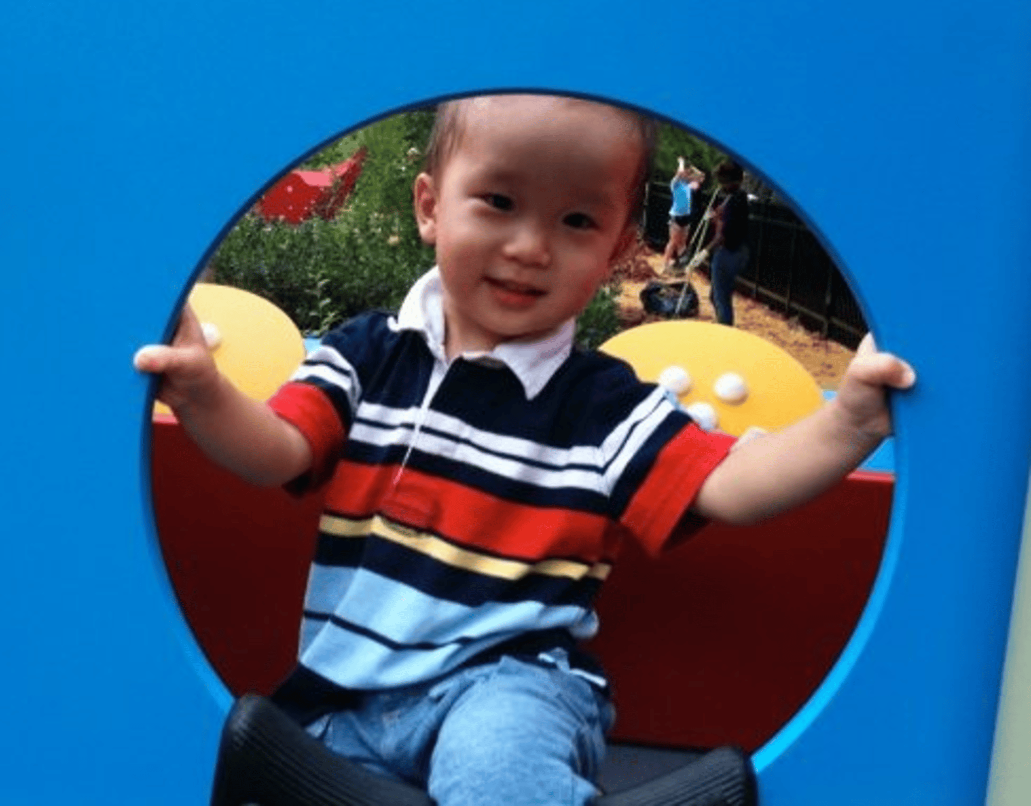 ZebbyClimbing2.jpg
