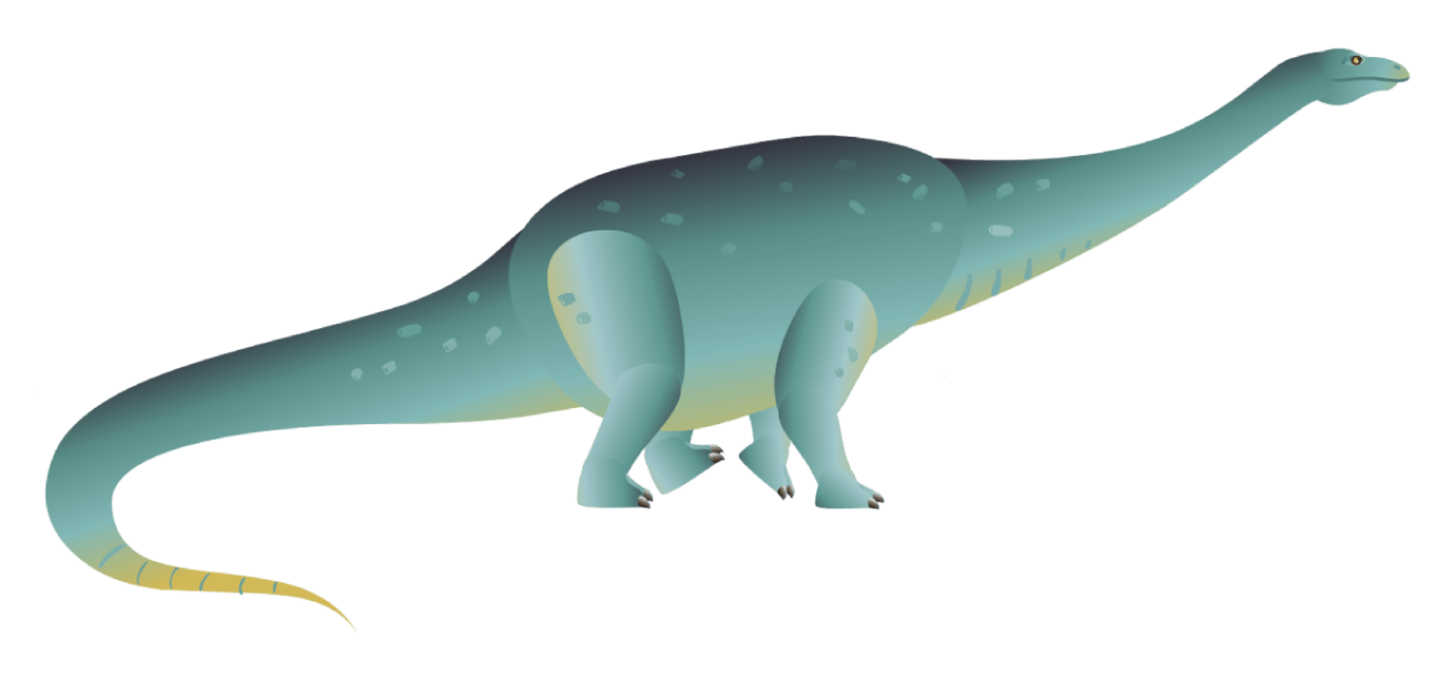 Diplodocus Dinosaur