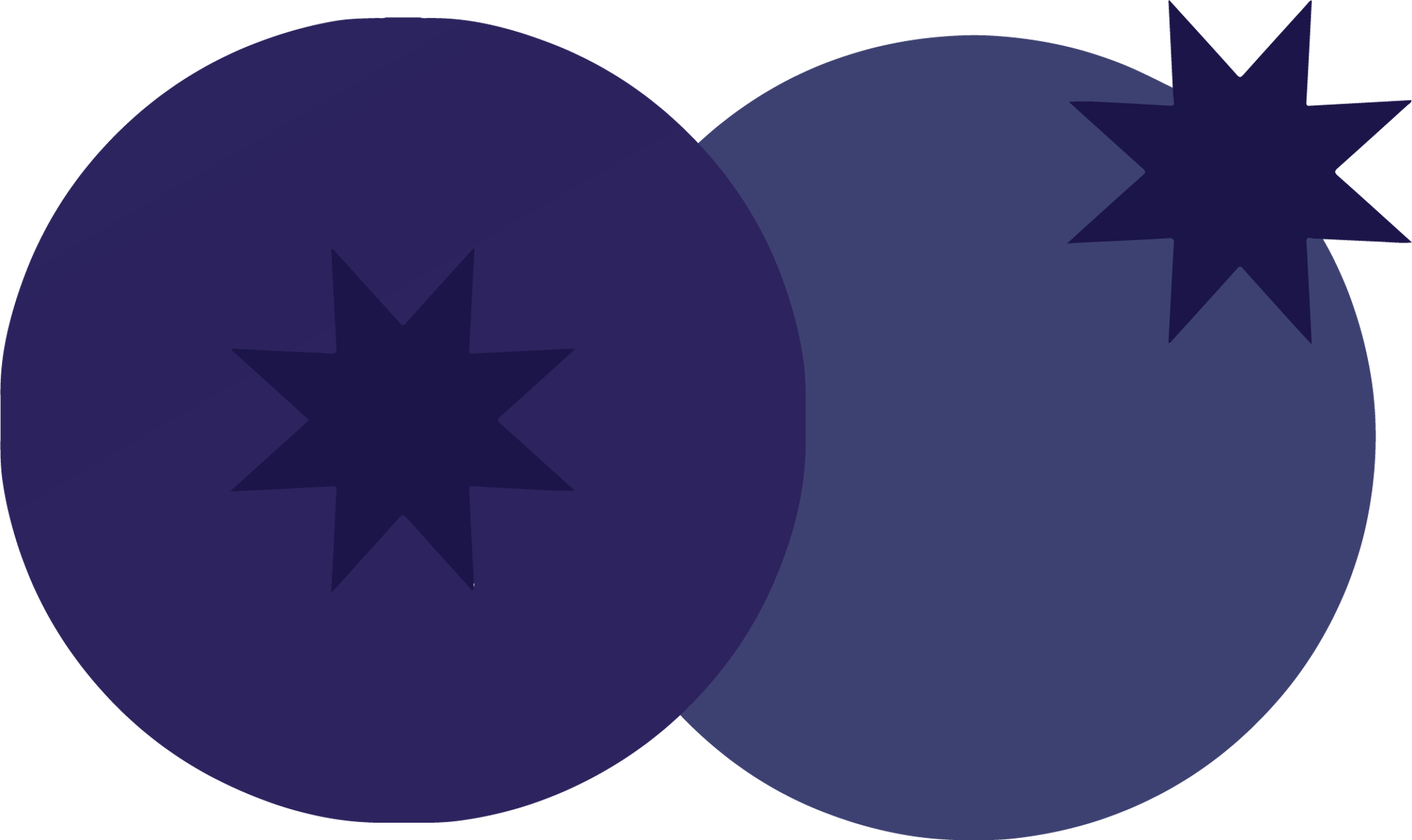 Blueberry Style 1