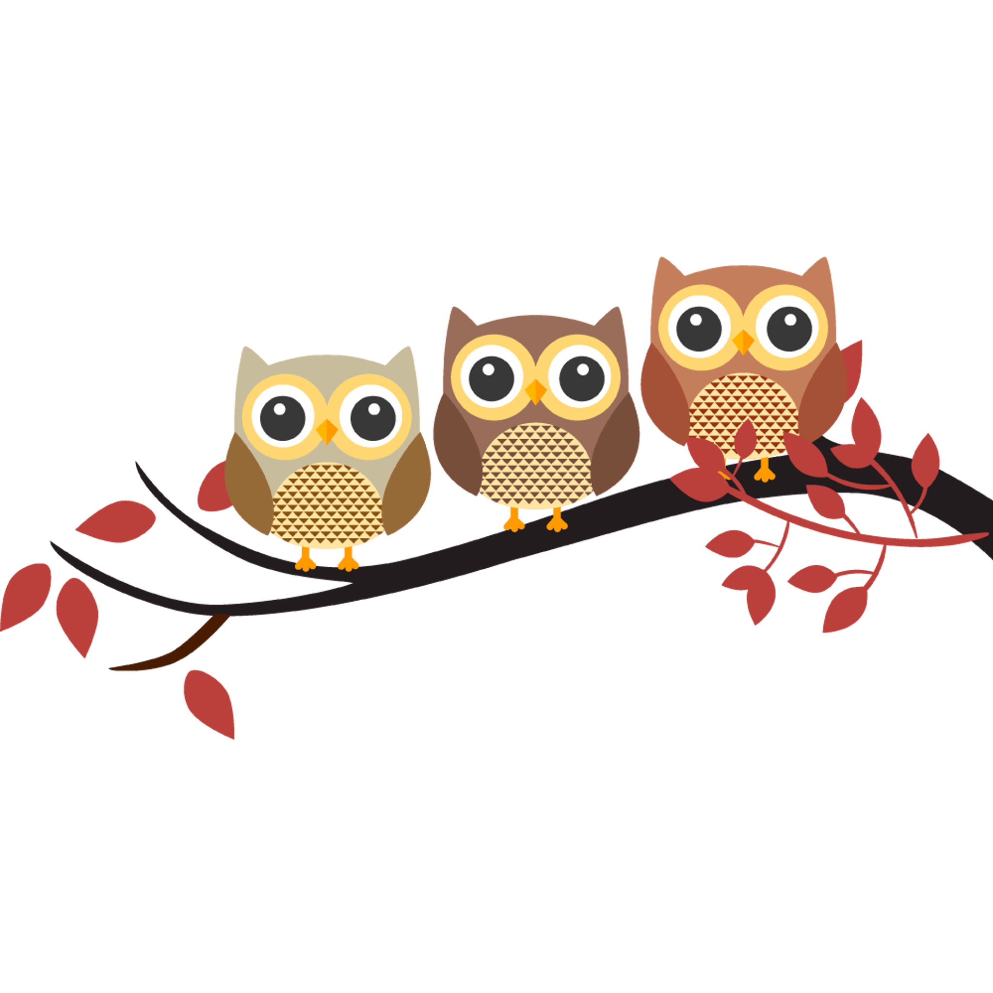 Owl Branch