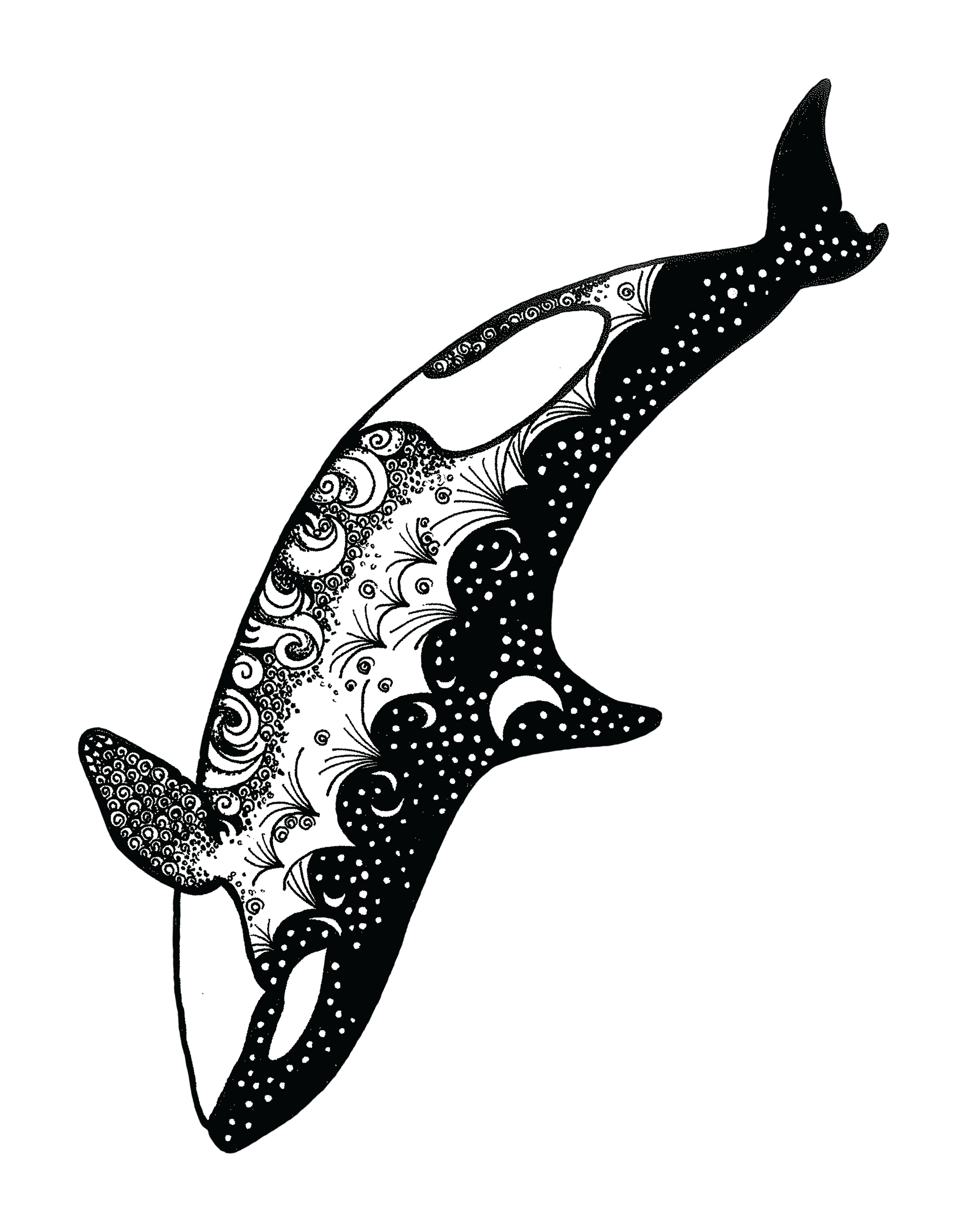 Whale