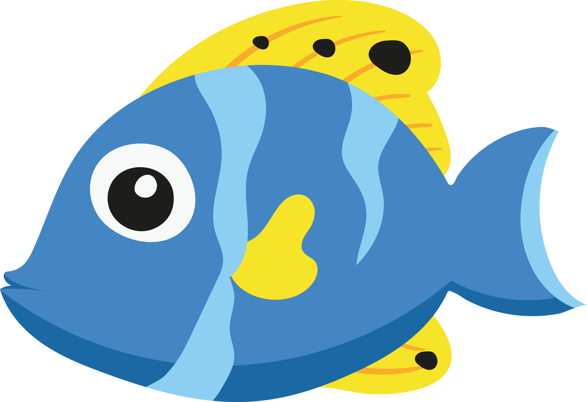 Fish 8