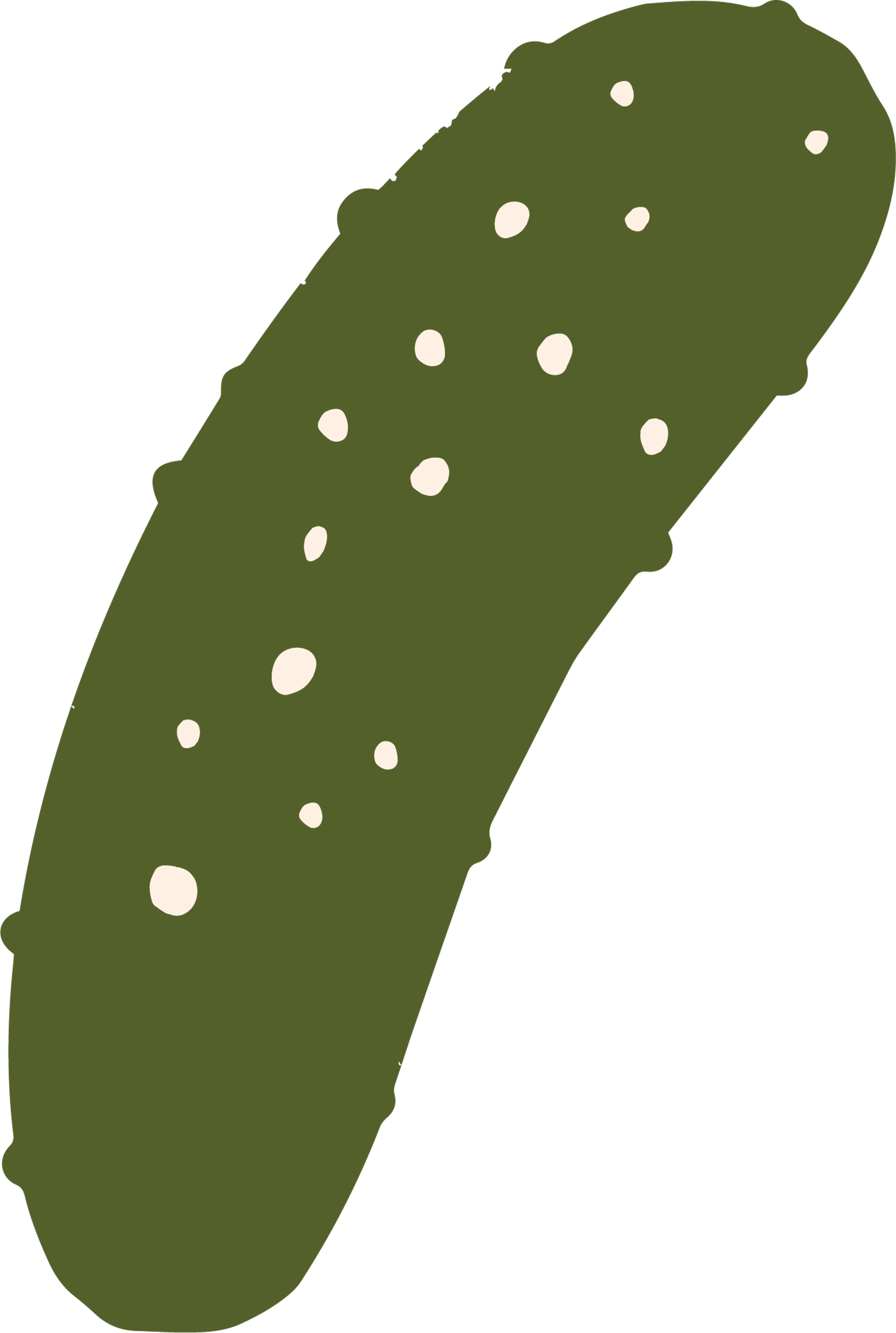 Cucumber Style 3