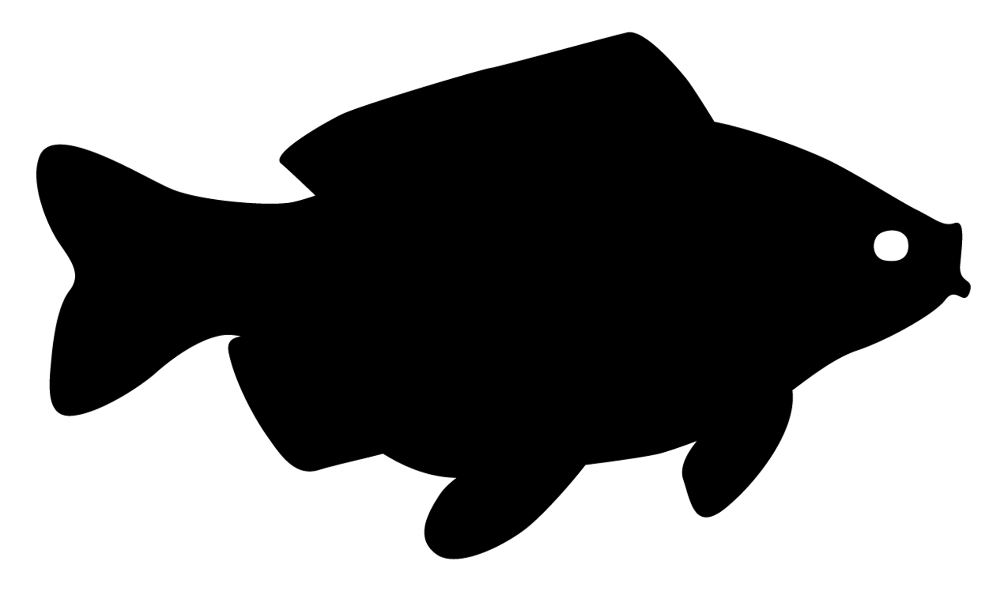 Fish Silhouette
