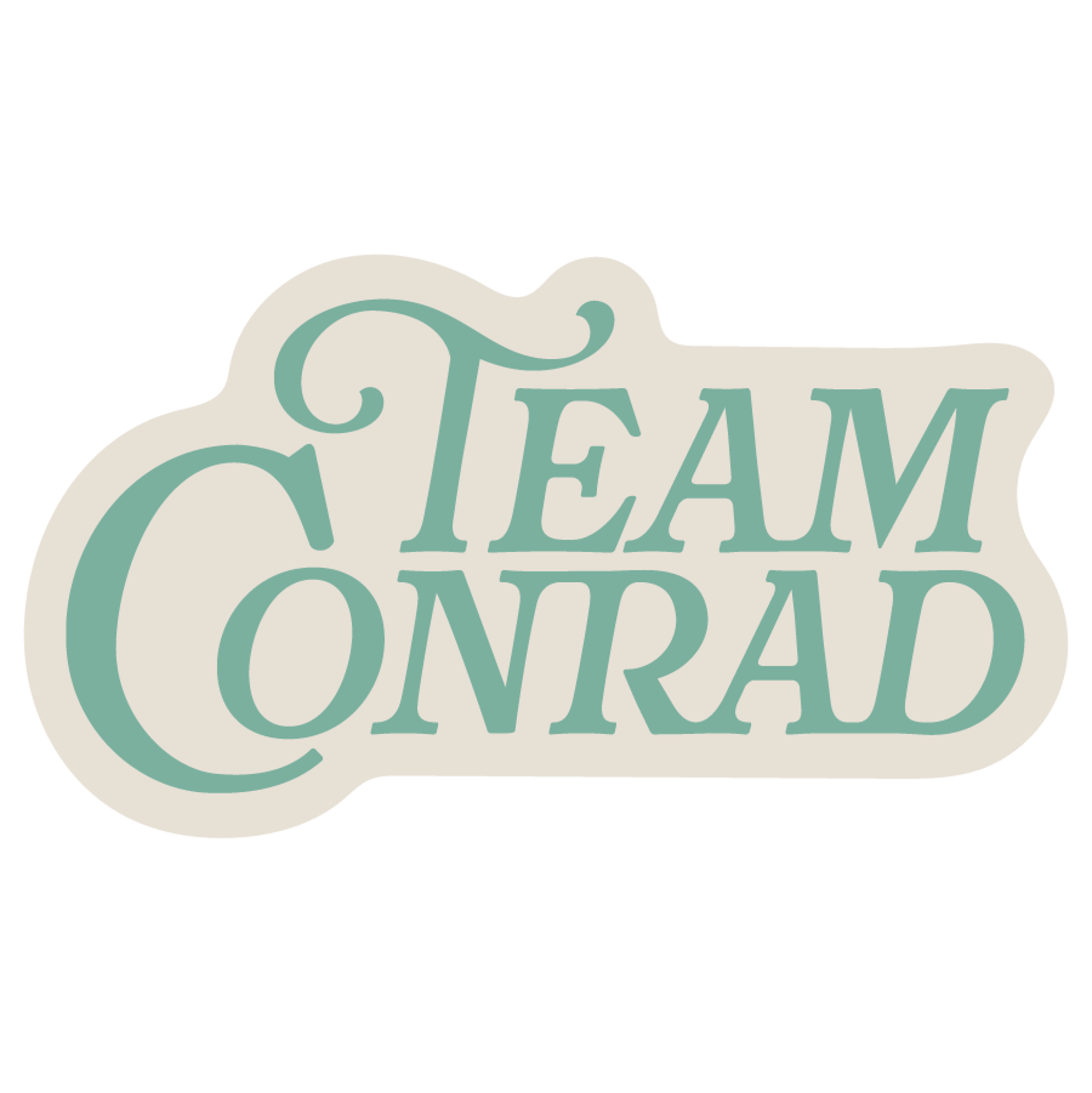 The Summer I Turned Pretty - Team Conrad