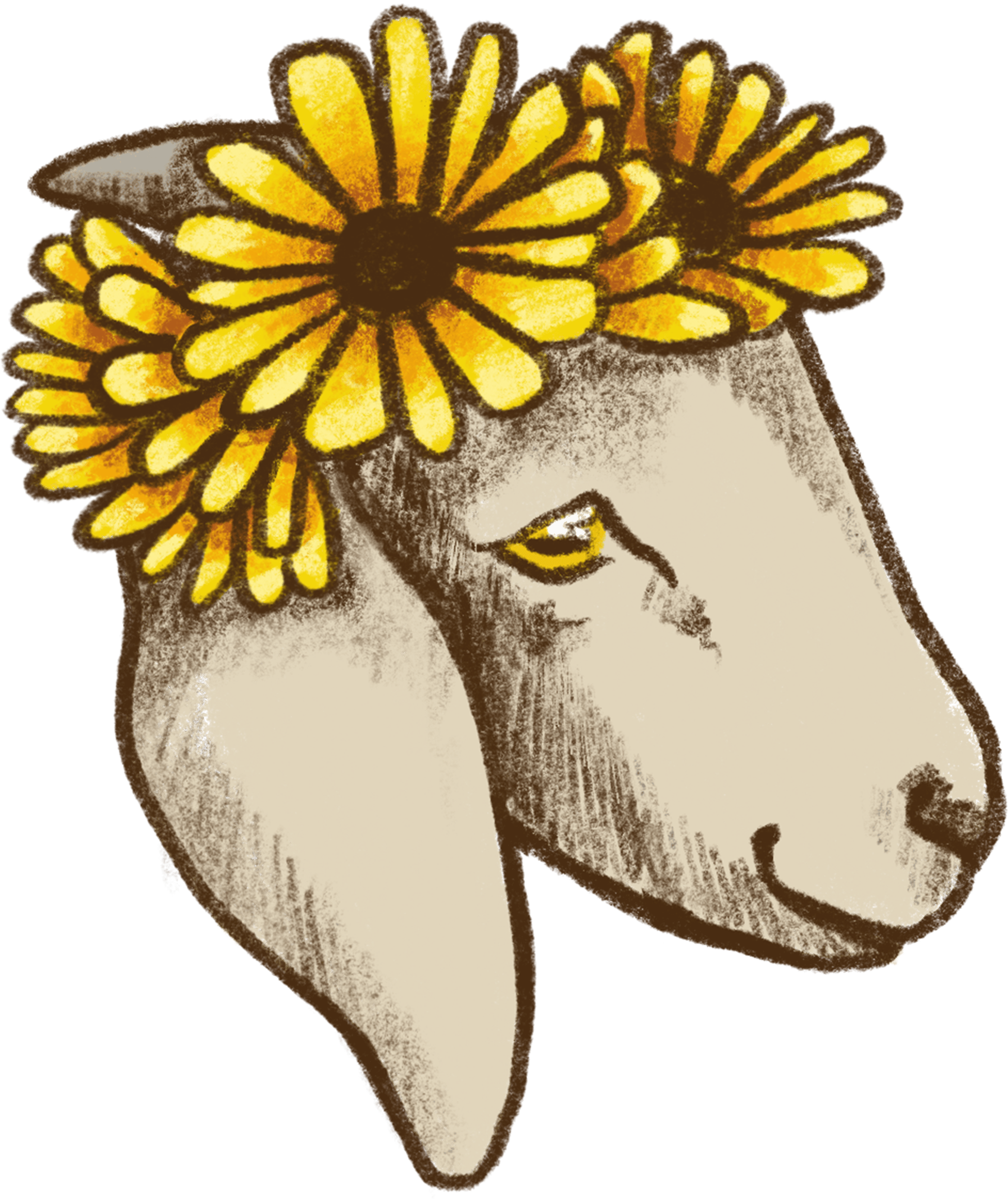 Daisy Goat