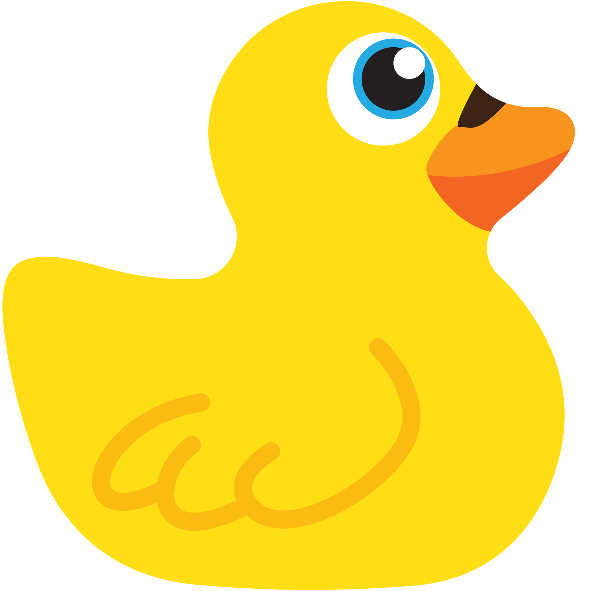 Duck