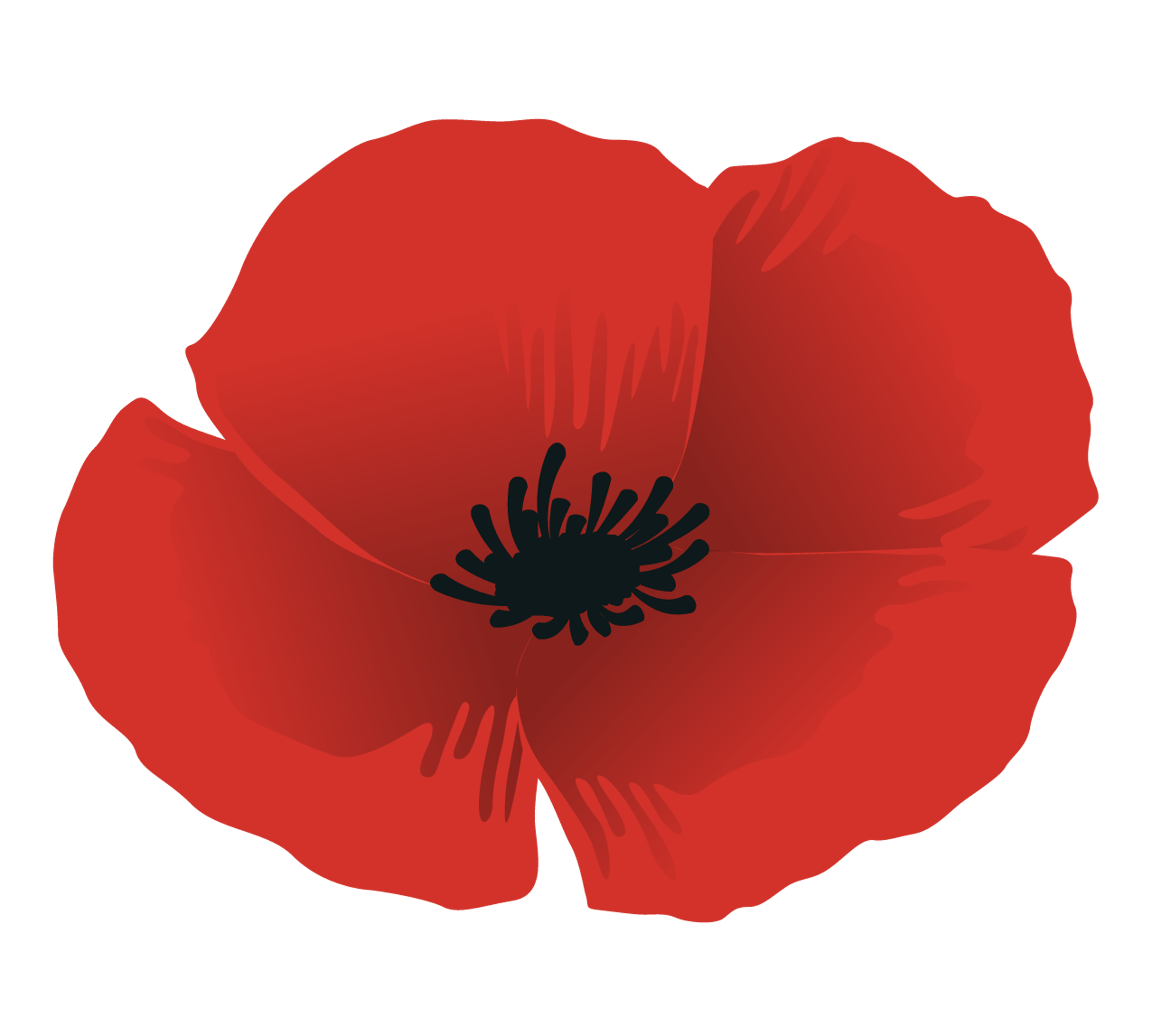 Poppy Flower Graphic