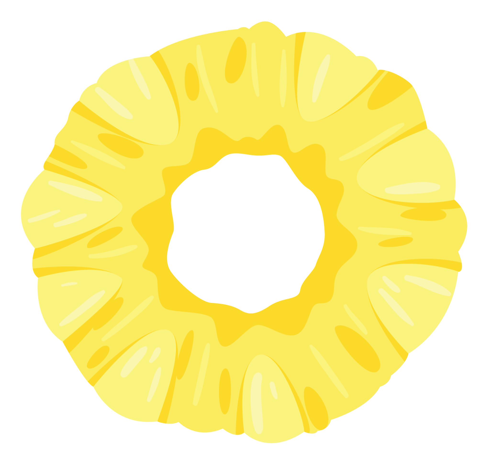 Pineapple Slice