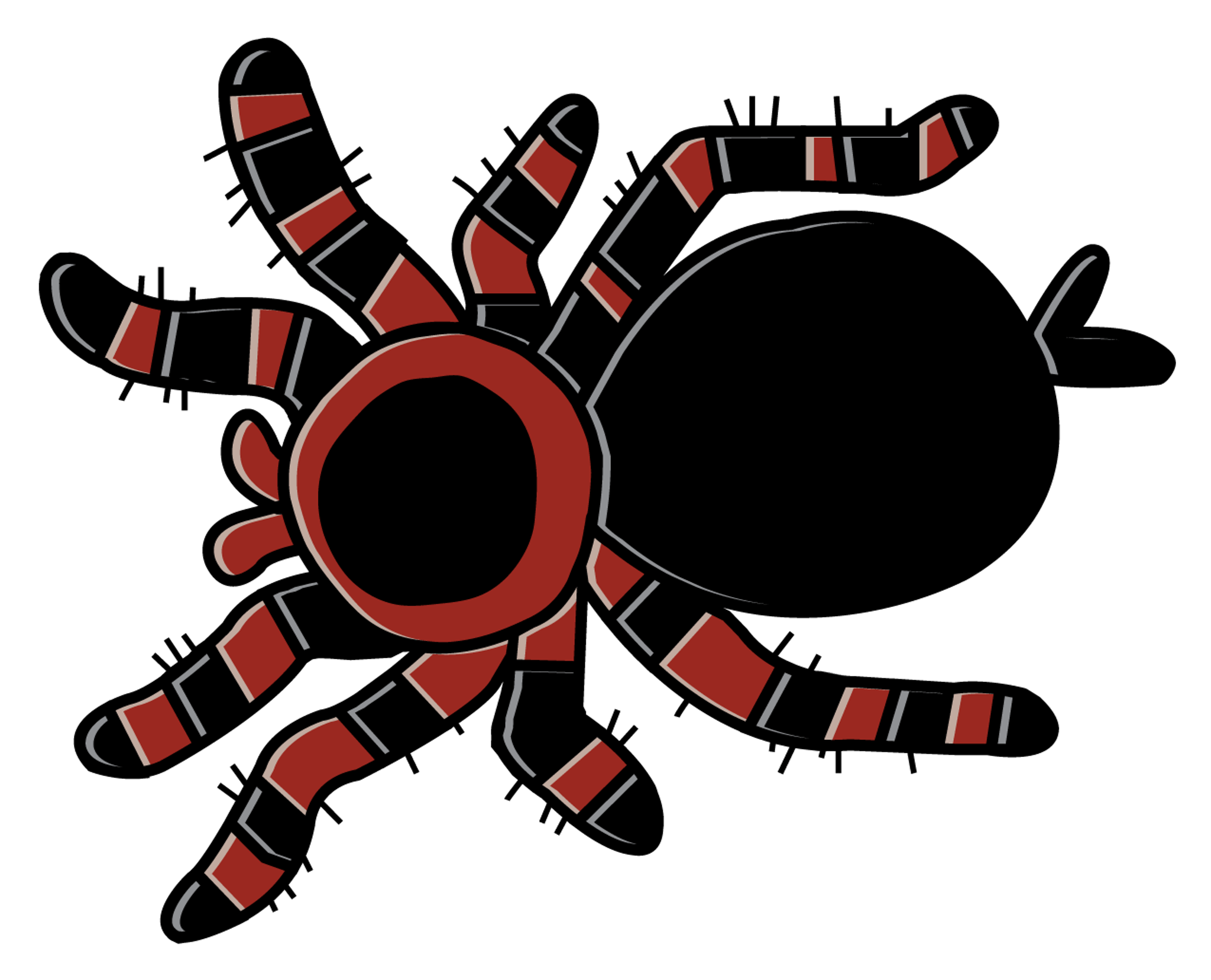 Hairy spider