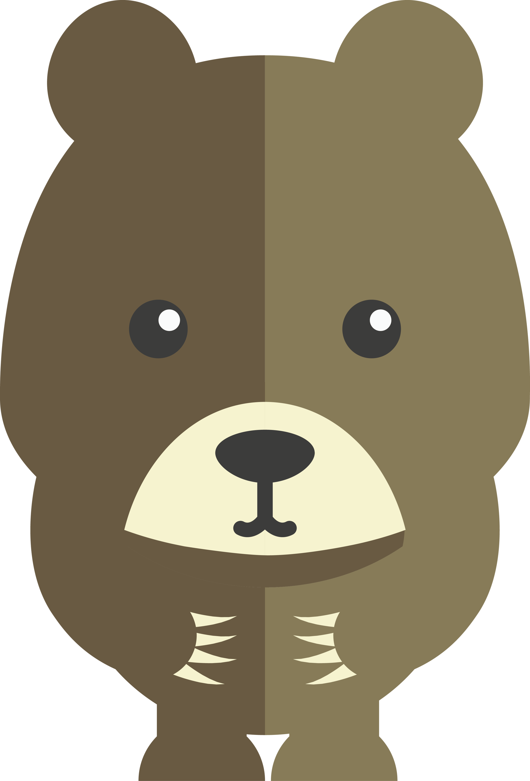 Shy Brown Bear