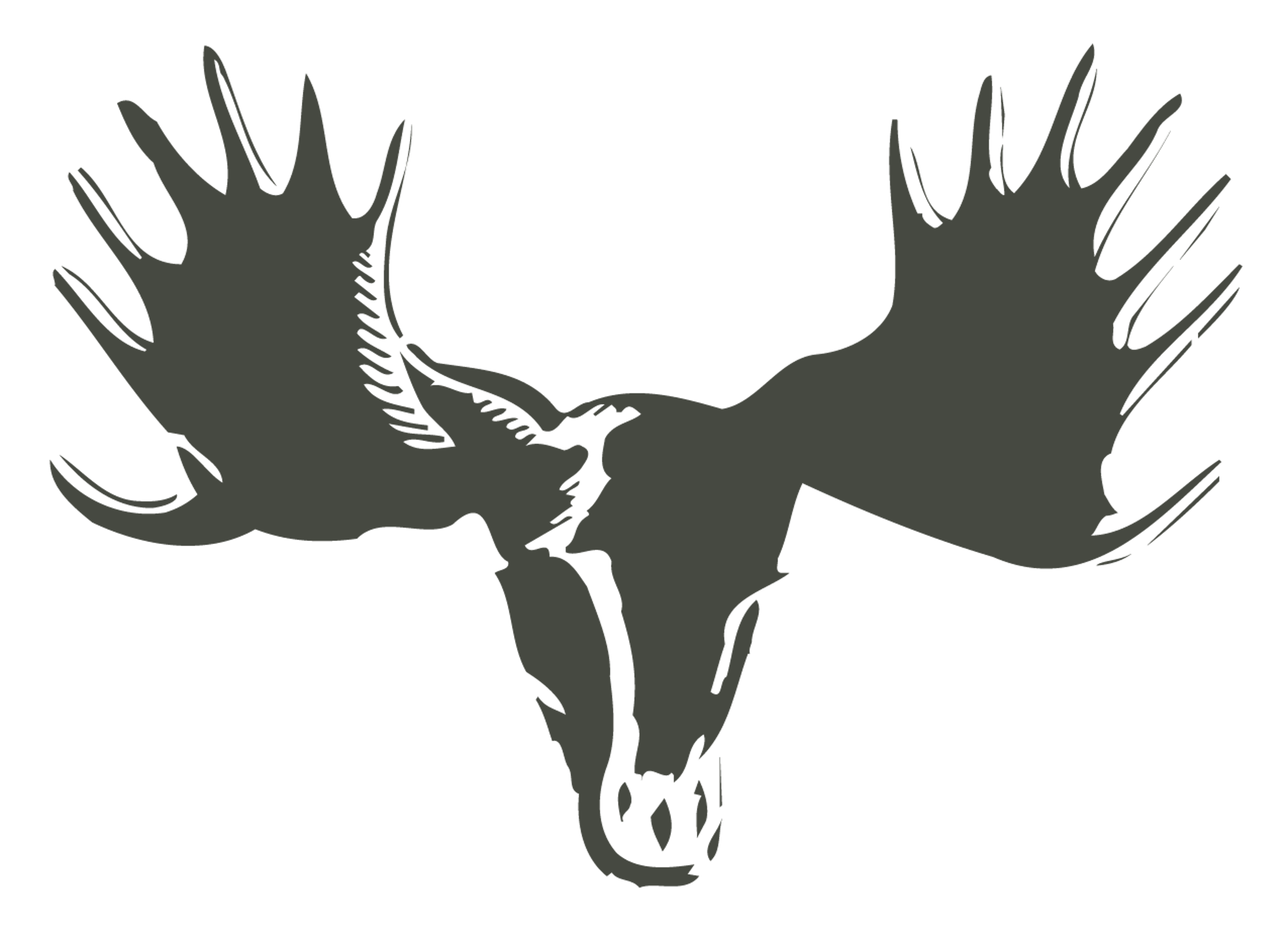 Deer Head Skull