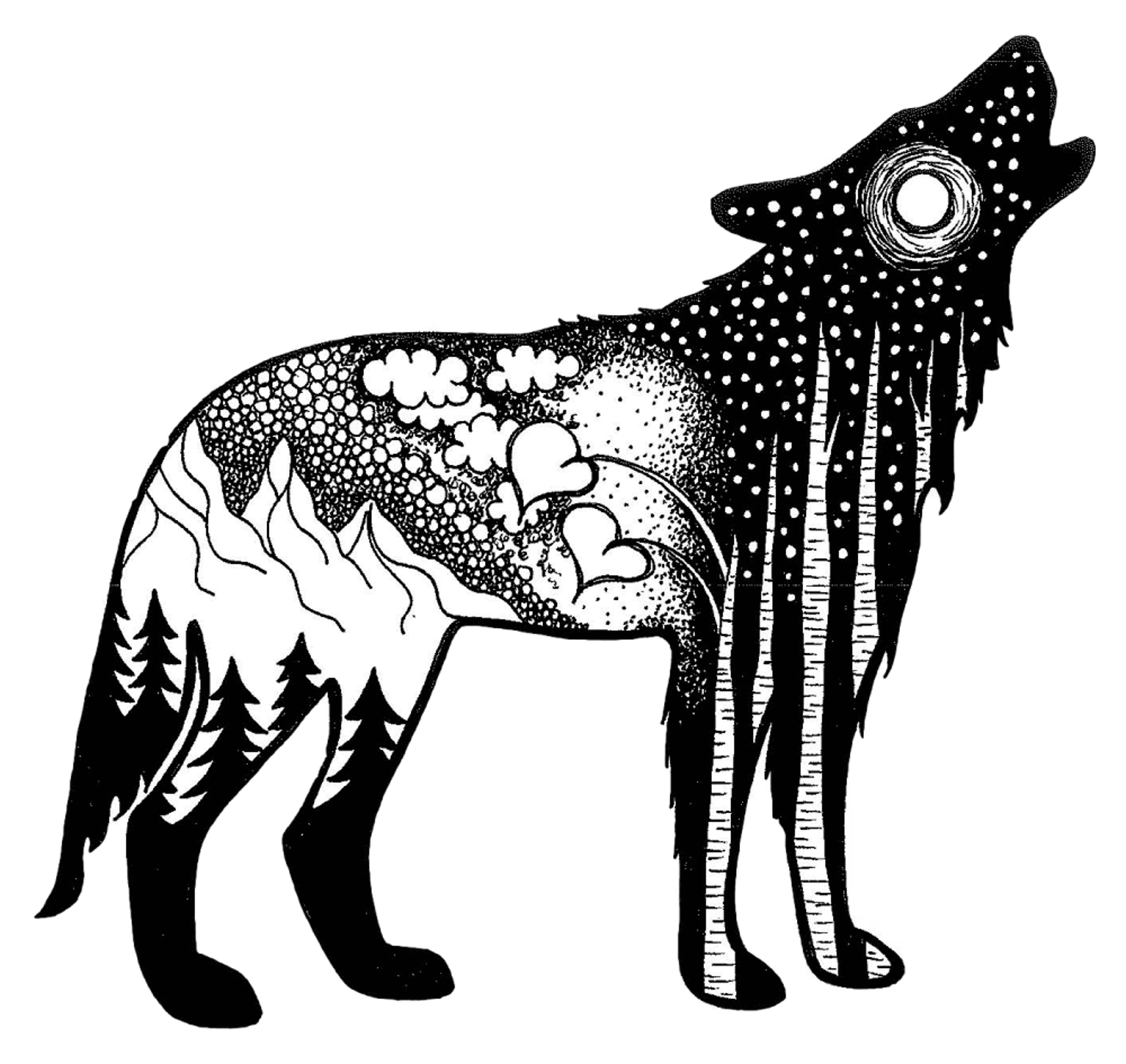 Brenna-Anderst-Wolf.png