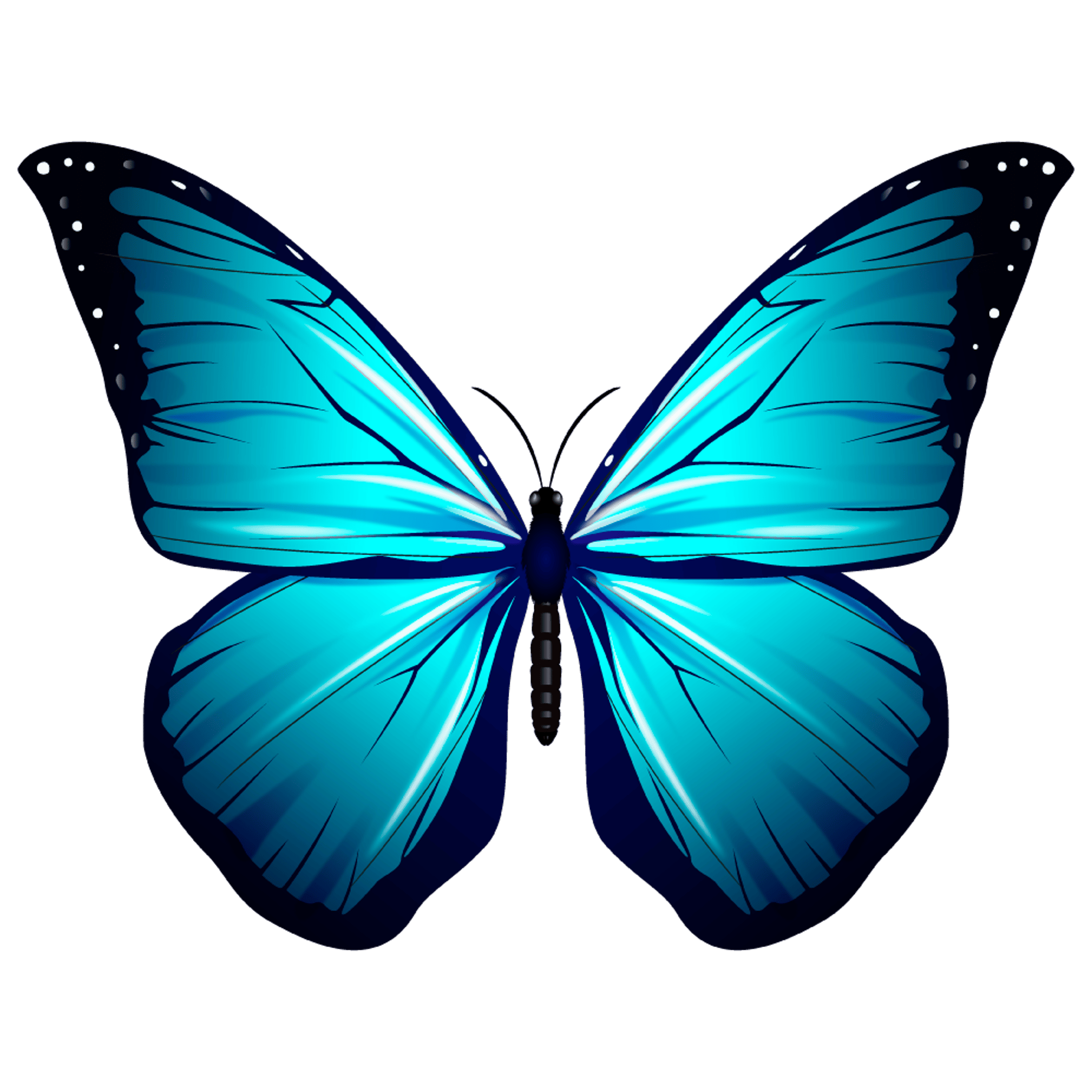 Blue Butterfly