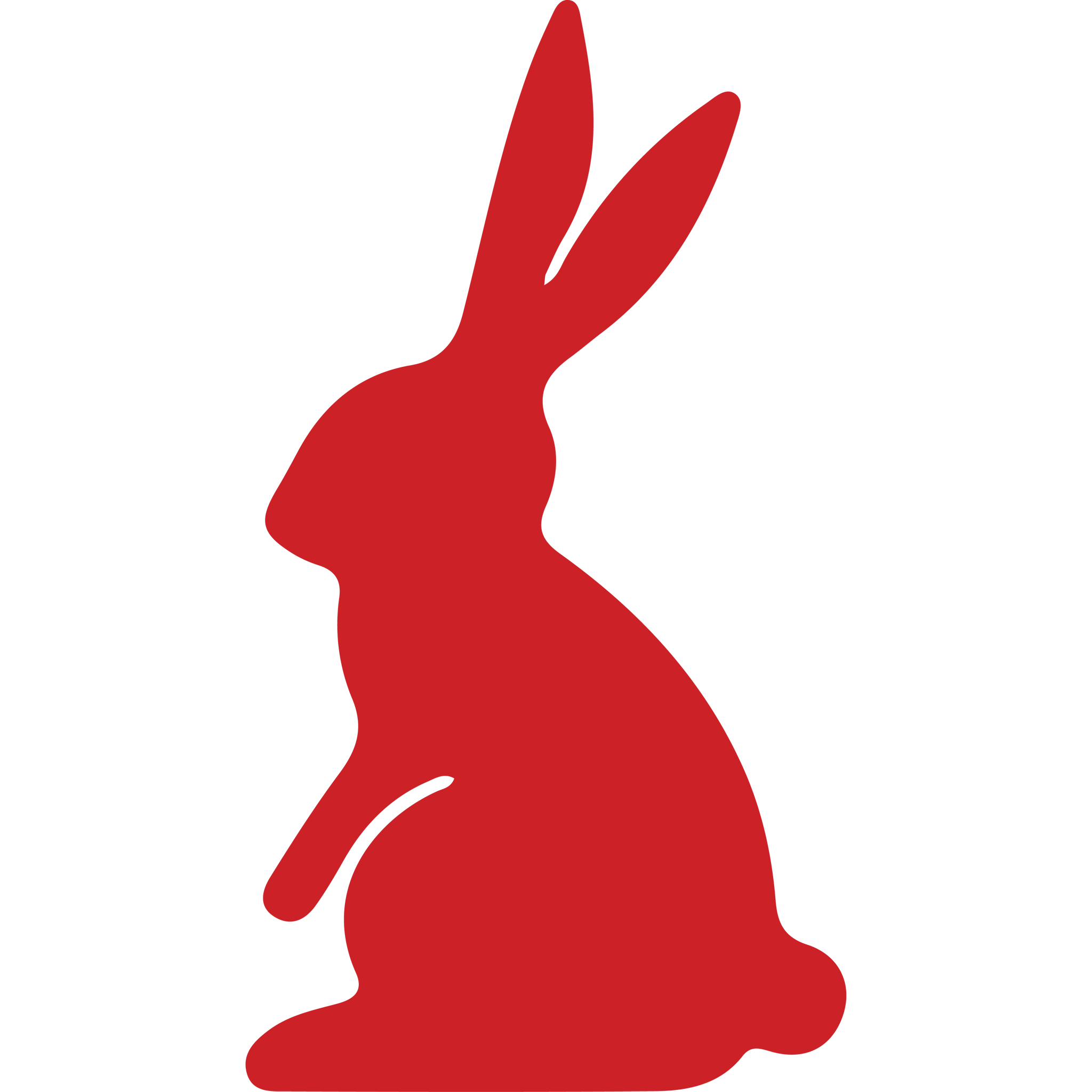 Rabbit Sitting