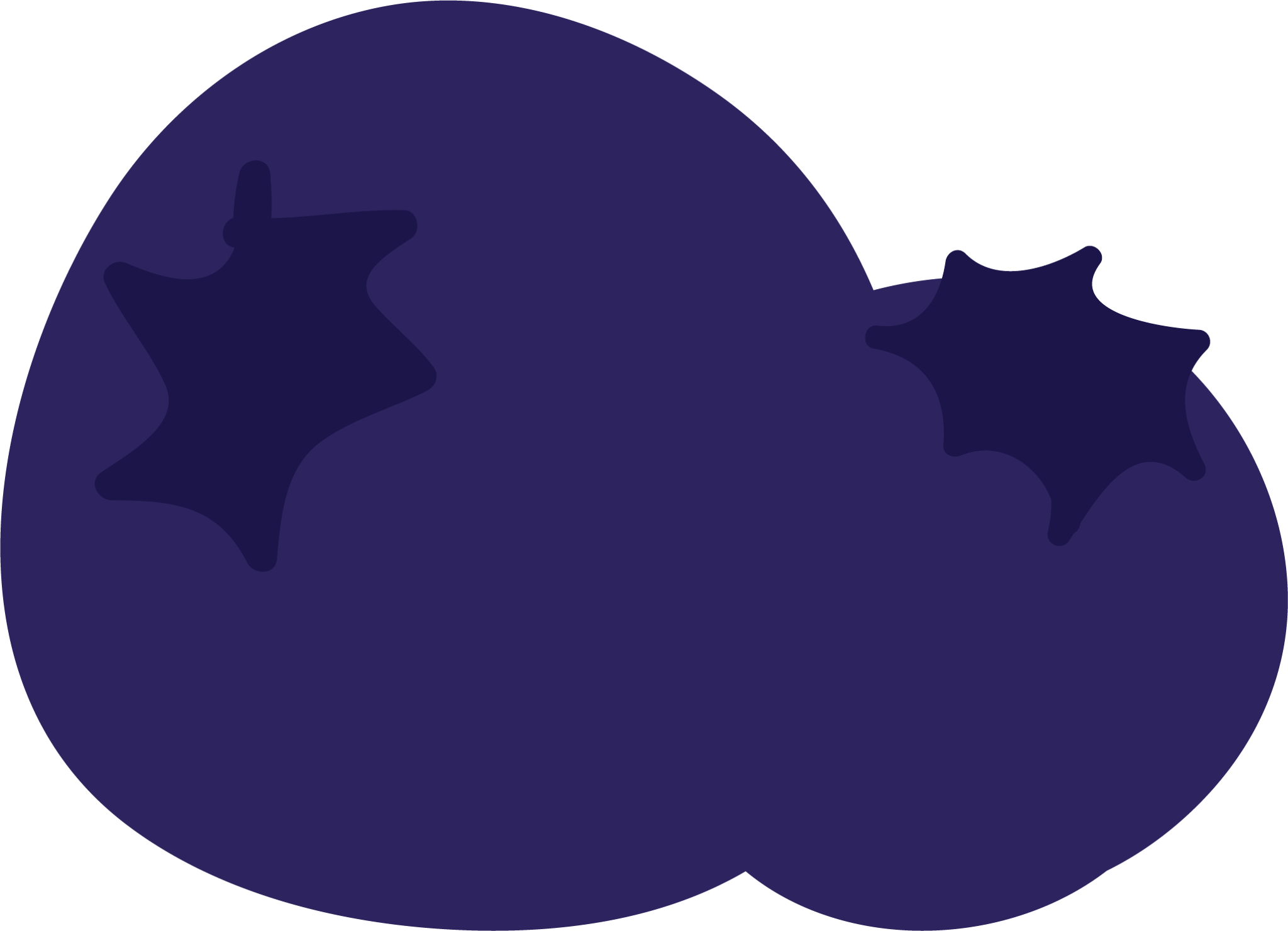 Blueberry Style 3