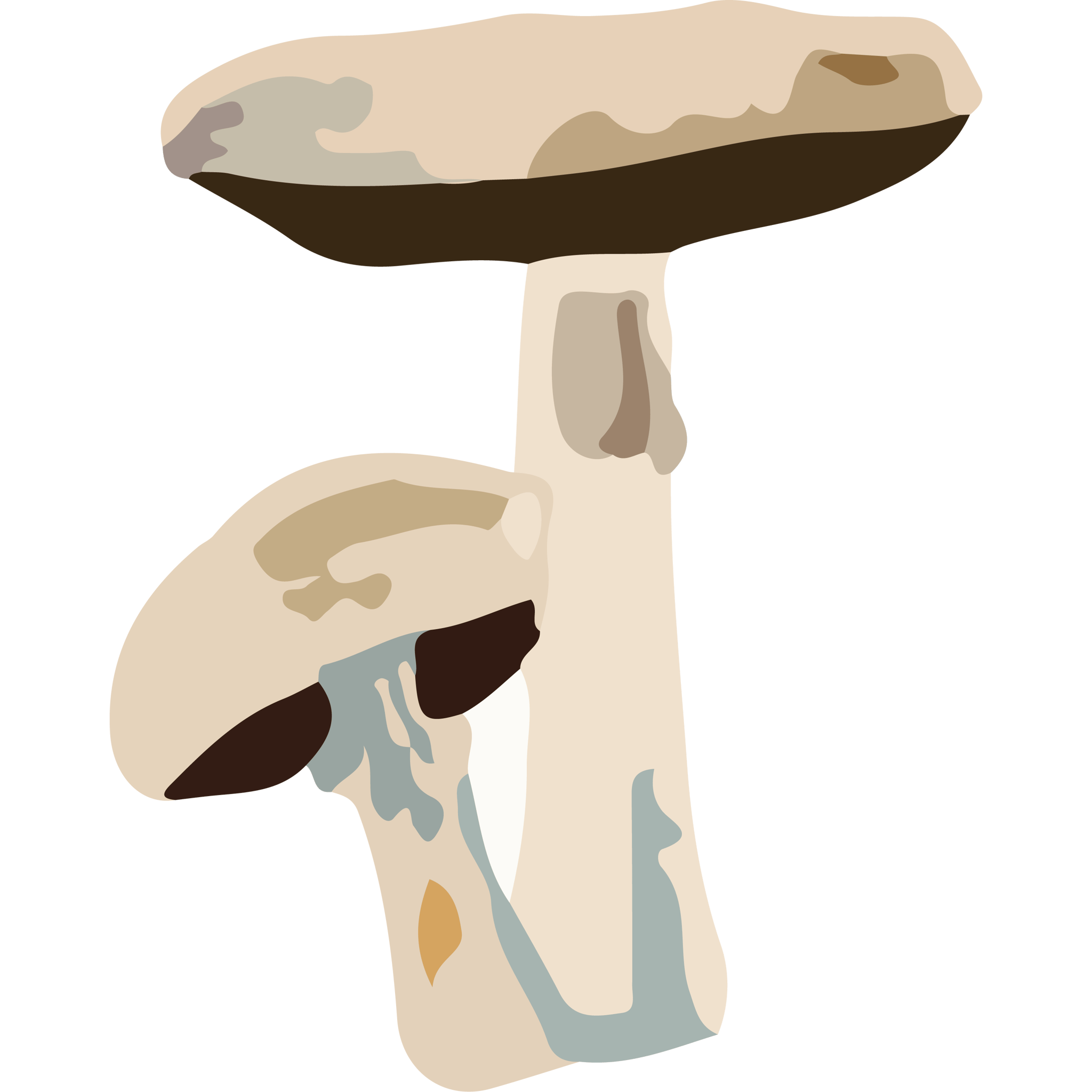 Two Mushrooms
