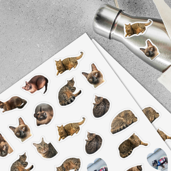 Commemorate your pets and furry companions