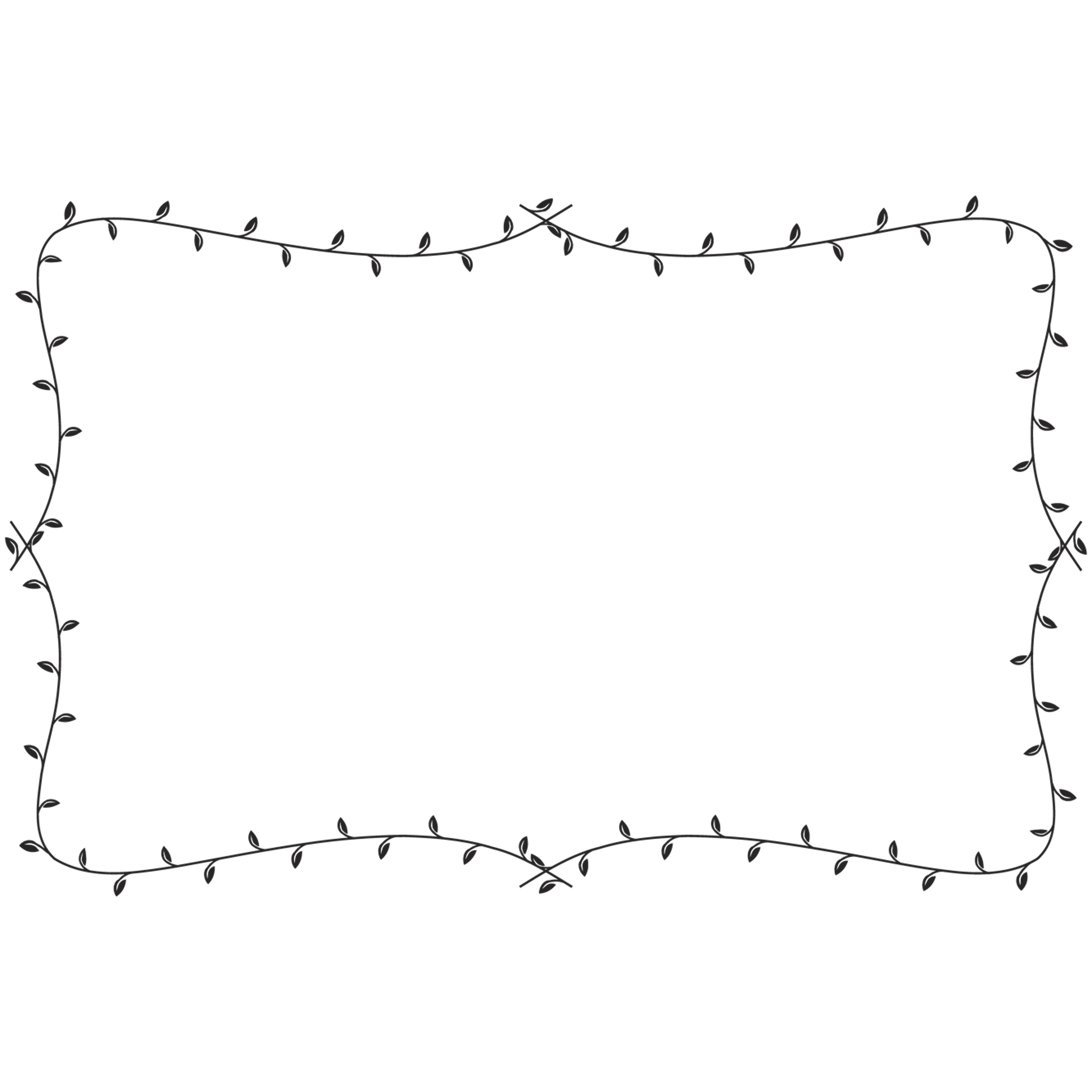 Vine Border