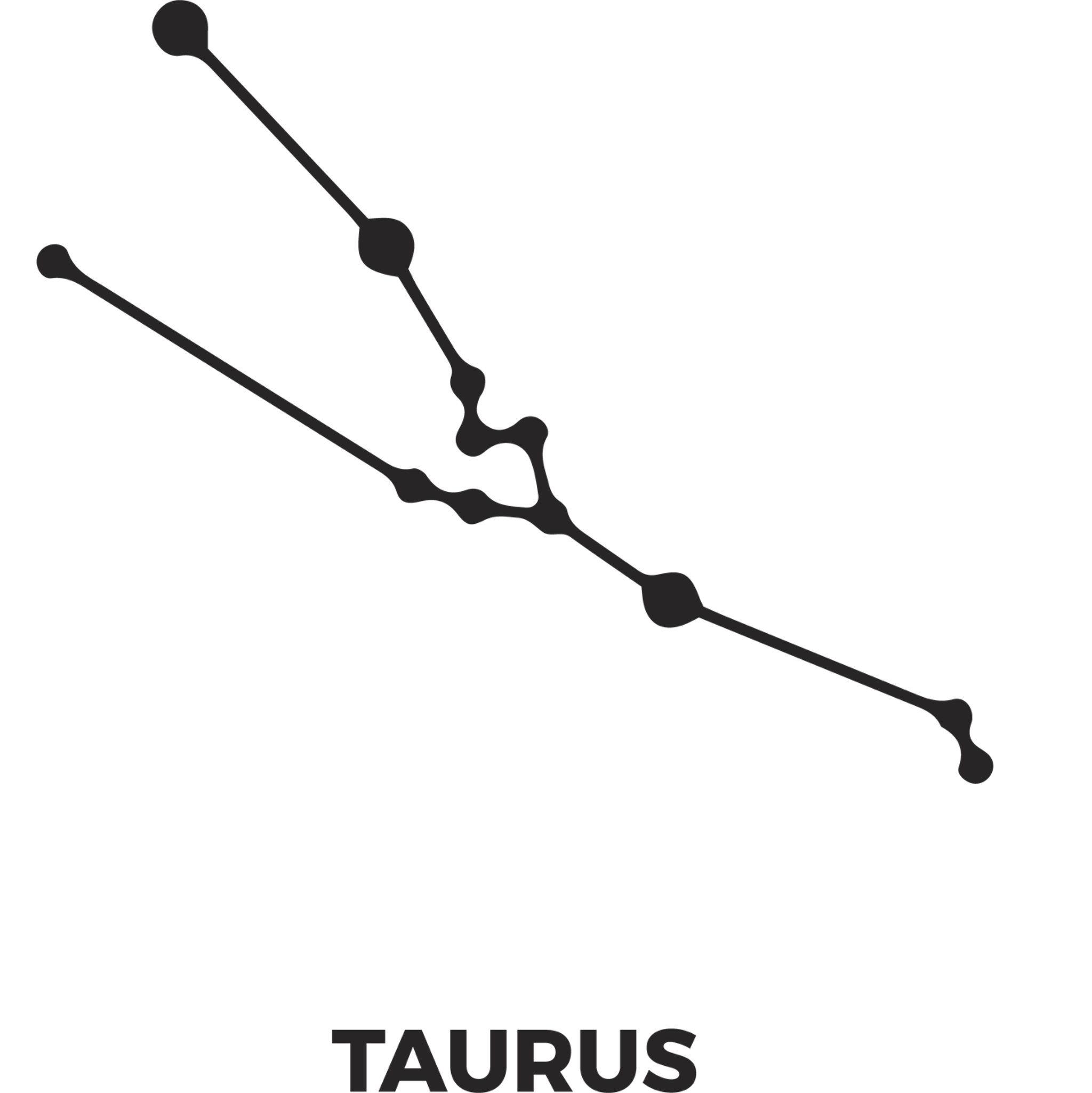 Zodiac Stars Taurus