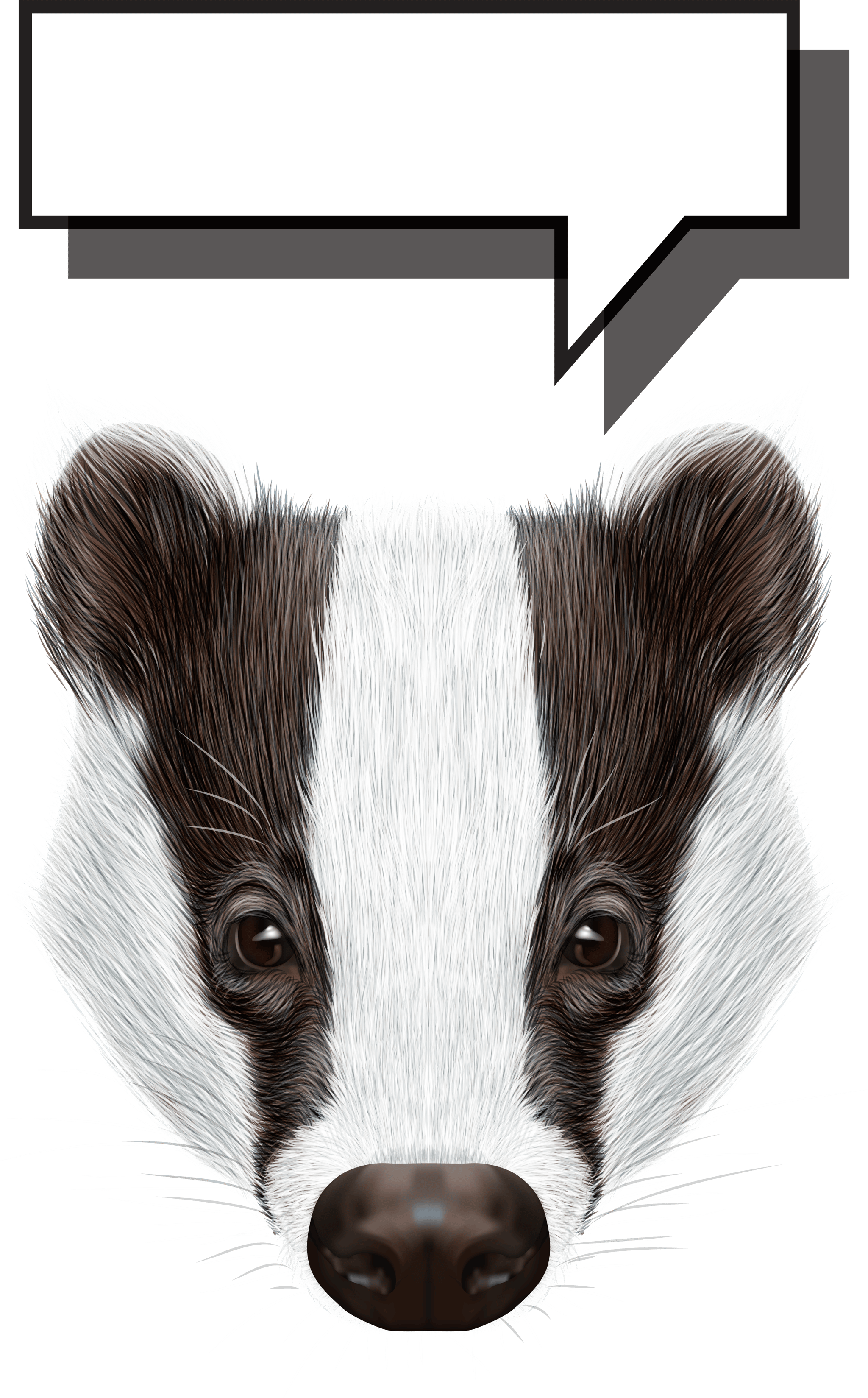 Badger