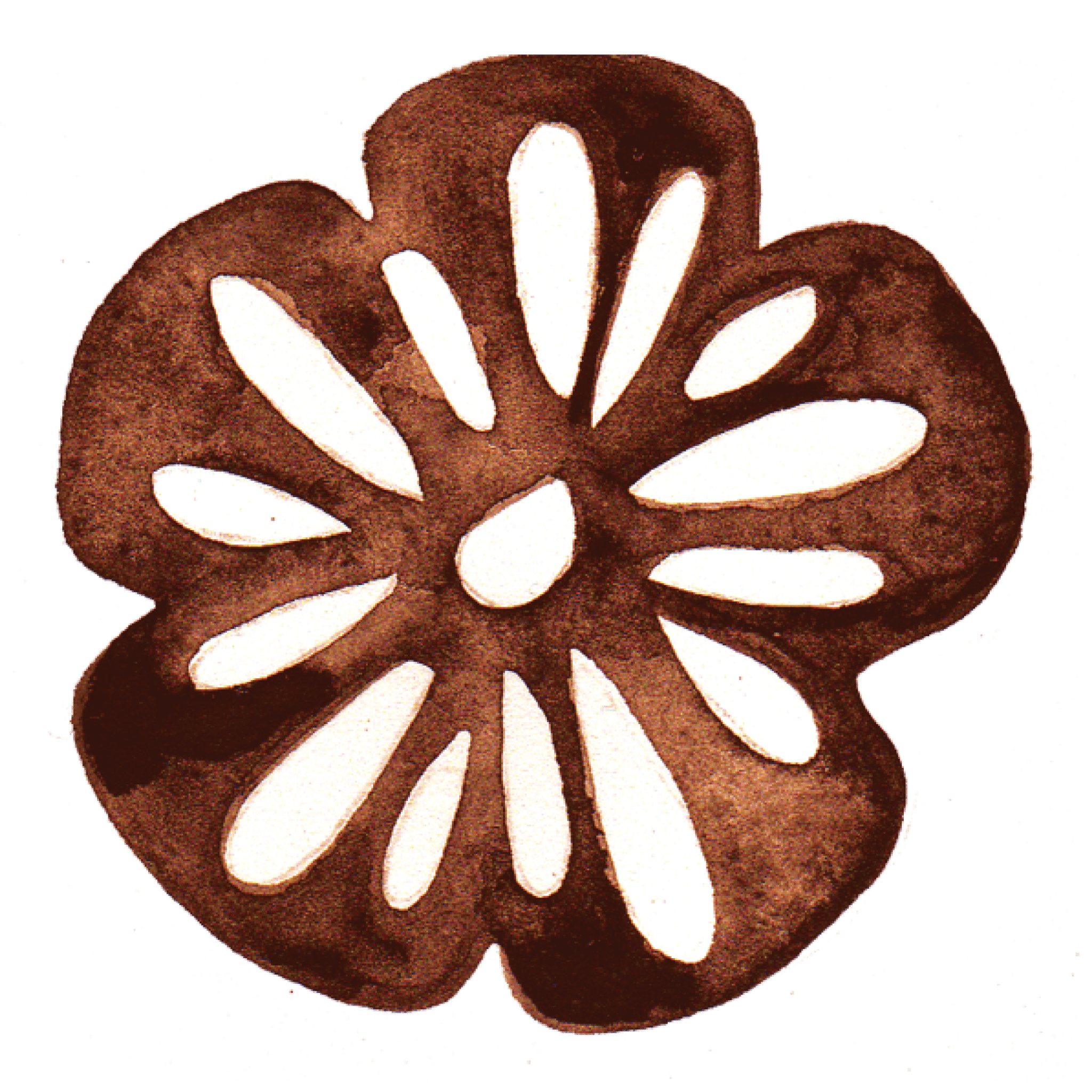 Brown Flower